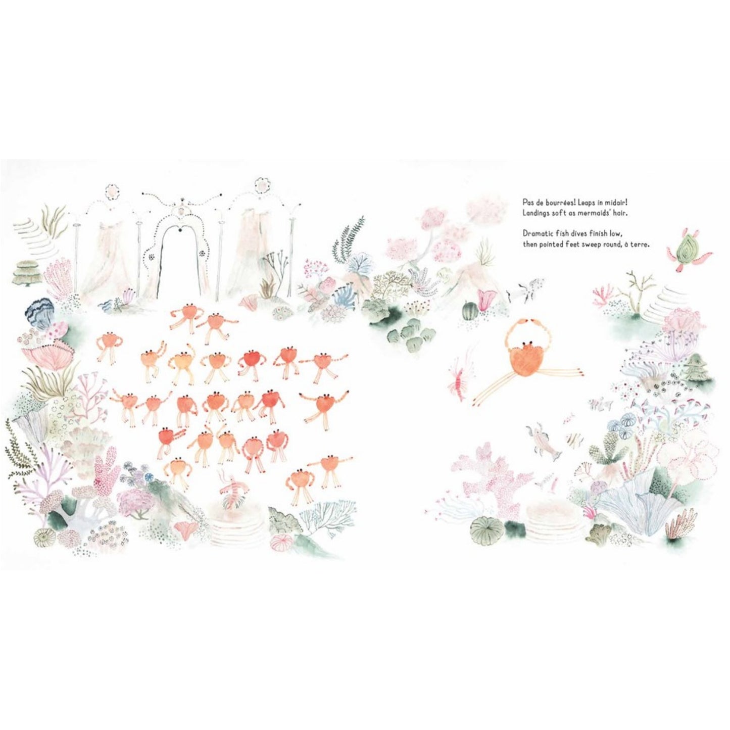 The Crab Ballet | Hardcover | Children’s Book on Friendship