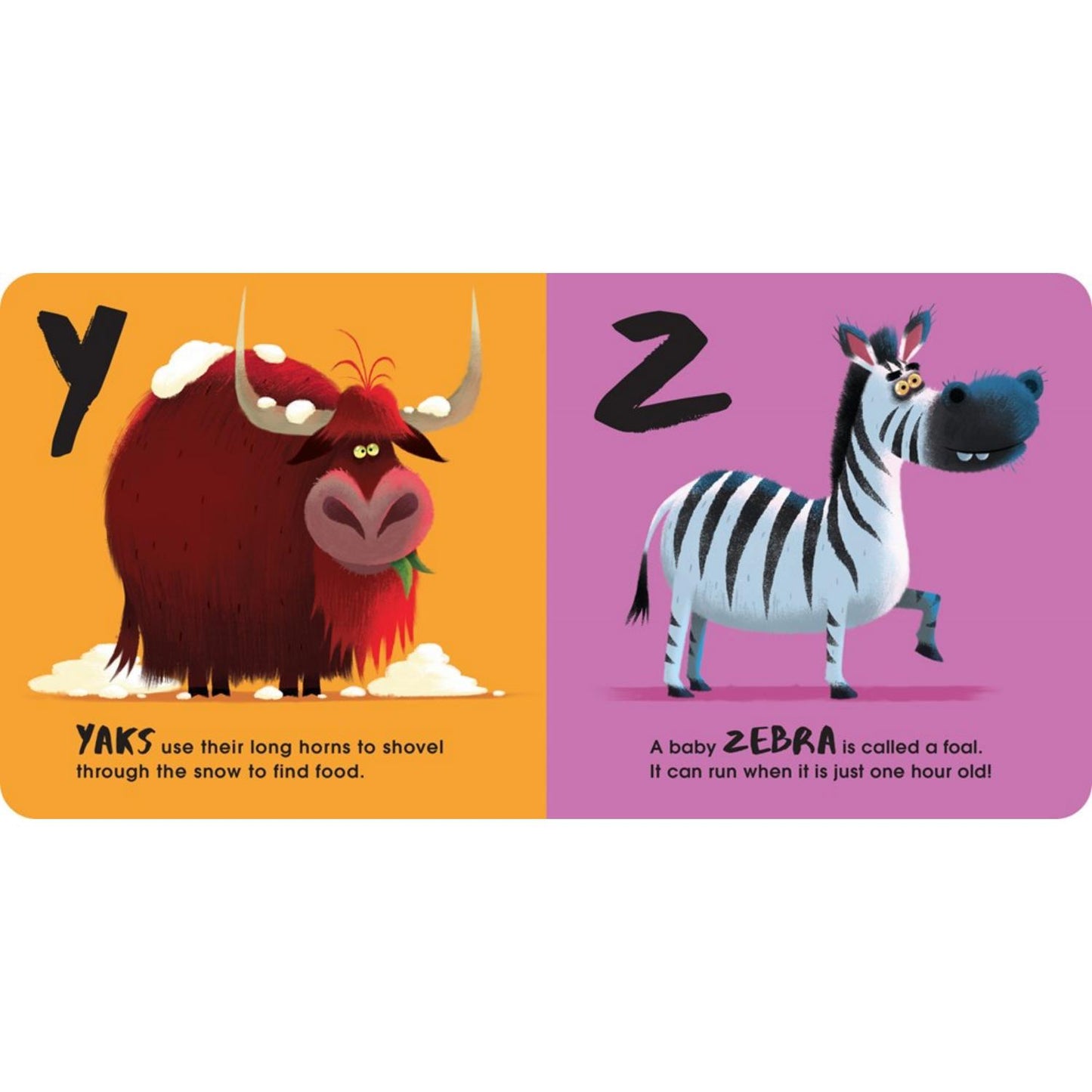 Animal ABC | Board Book for Babies & Toddlers