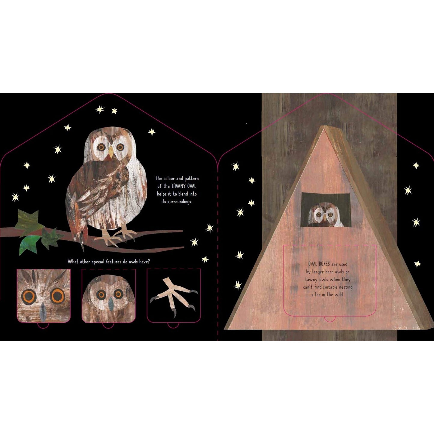 Bird House: A Clover Robin Book of Nature | Children's Lift-the-Flap Board Book on Animals