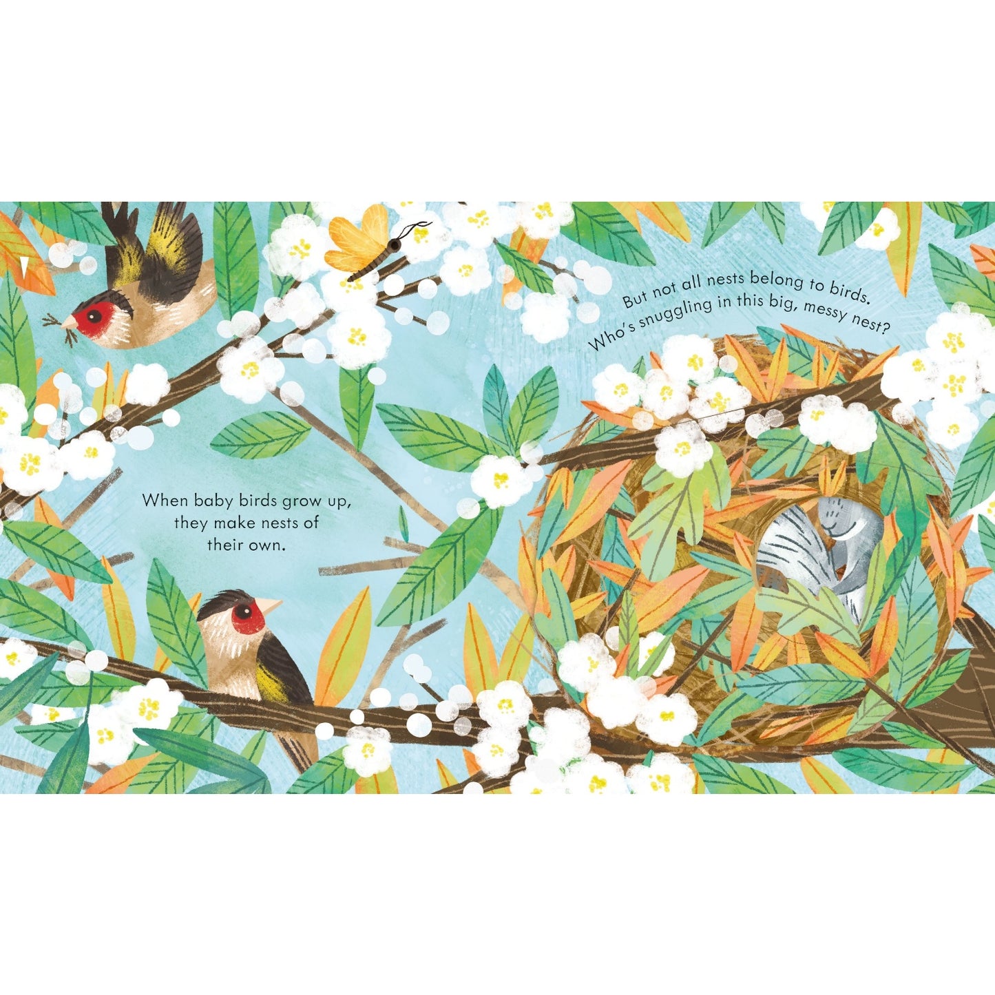 Peep Inside a Bird’s Nest | Children's Board Book on Nature