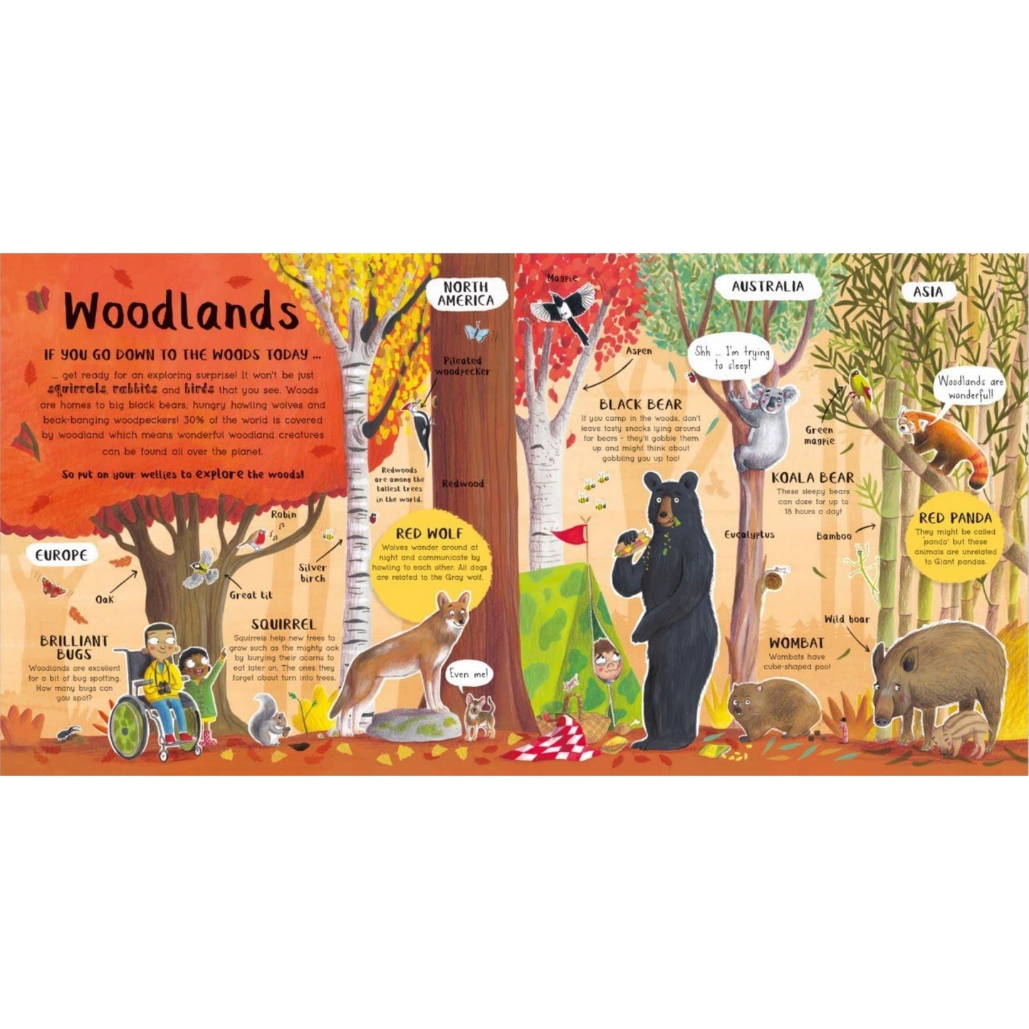 Do You Love Exploring? | Paperback | Children's Book on Nature