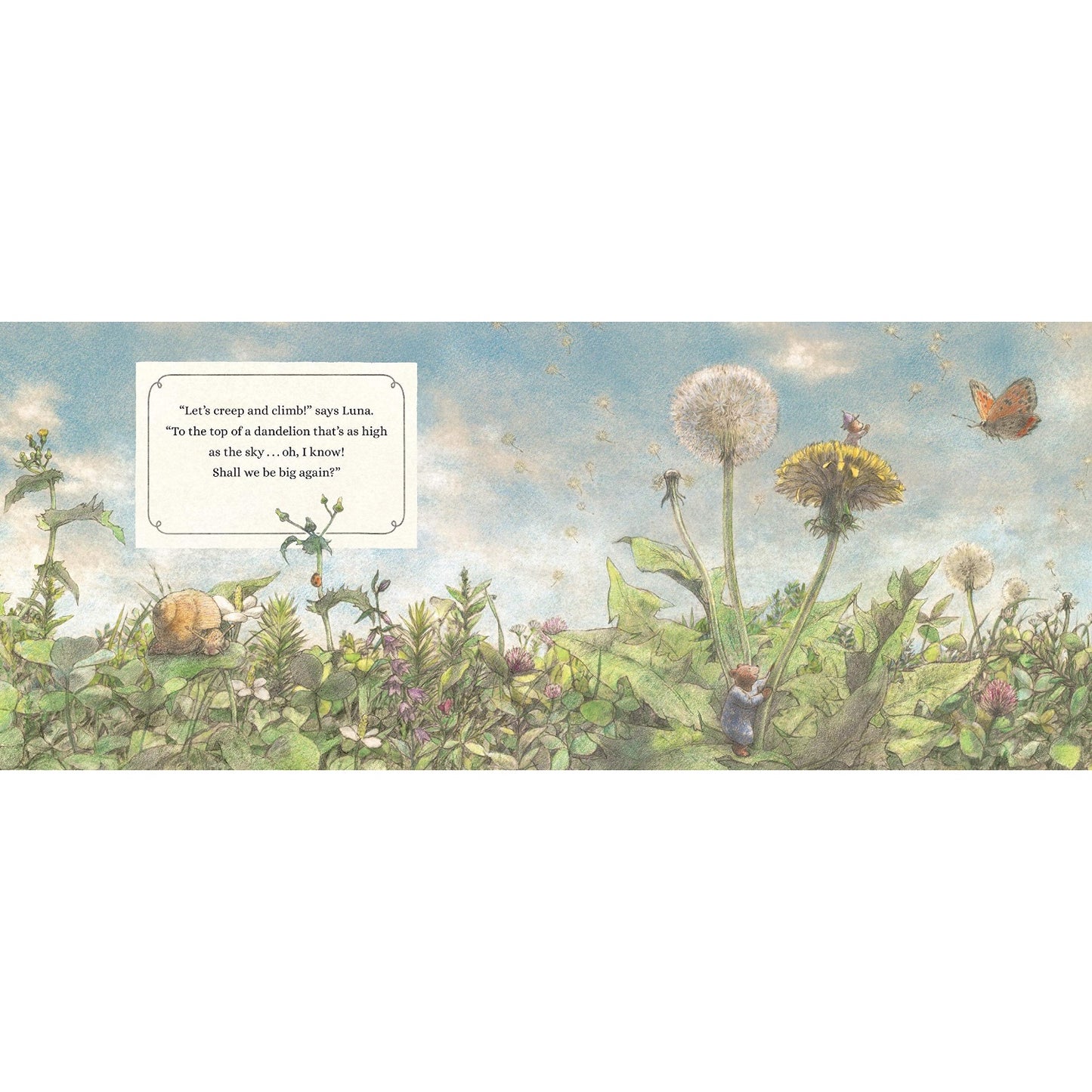 For All the Stars Across the Sky | Paperback | Children’s Book on Feelings