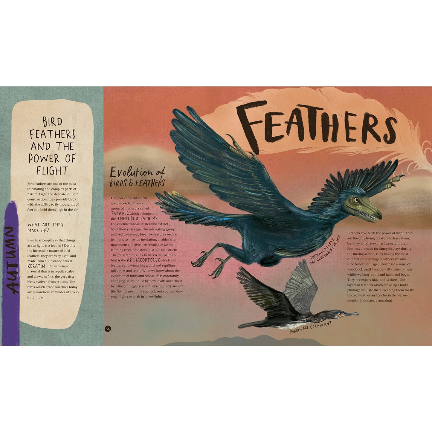 A Wild Child's Book of Birds | Hardcover | Children’s Book on Nature