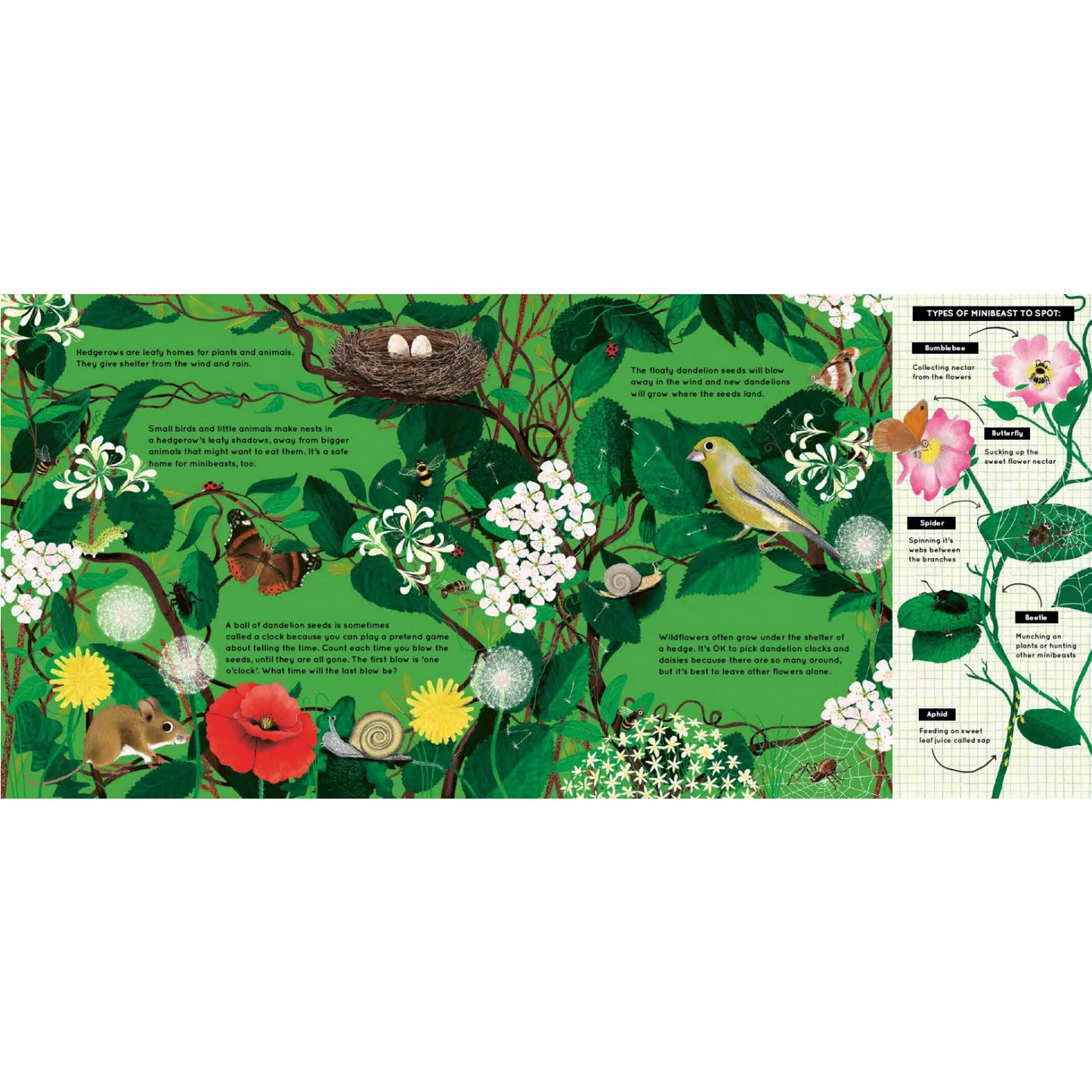 Look What I Found on the Farm | Children’s Book on Farm Life