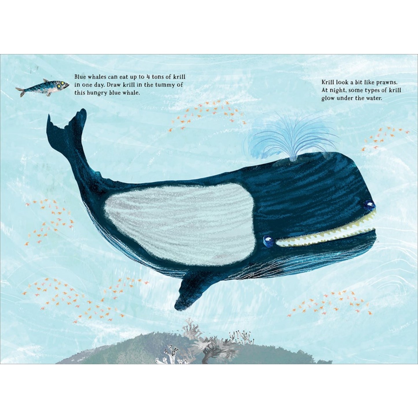 The Big Sticker Book of the Blue | Children’s Activity Book on Oceans & Seas