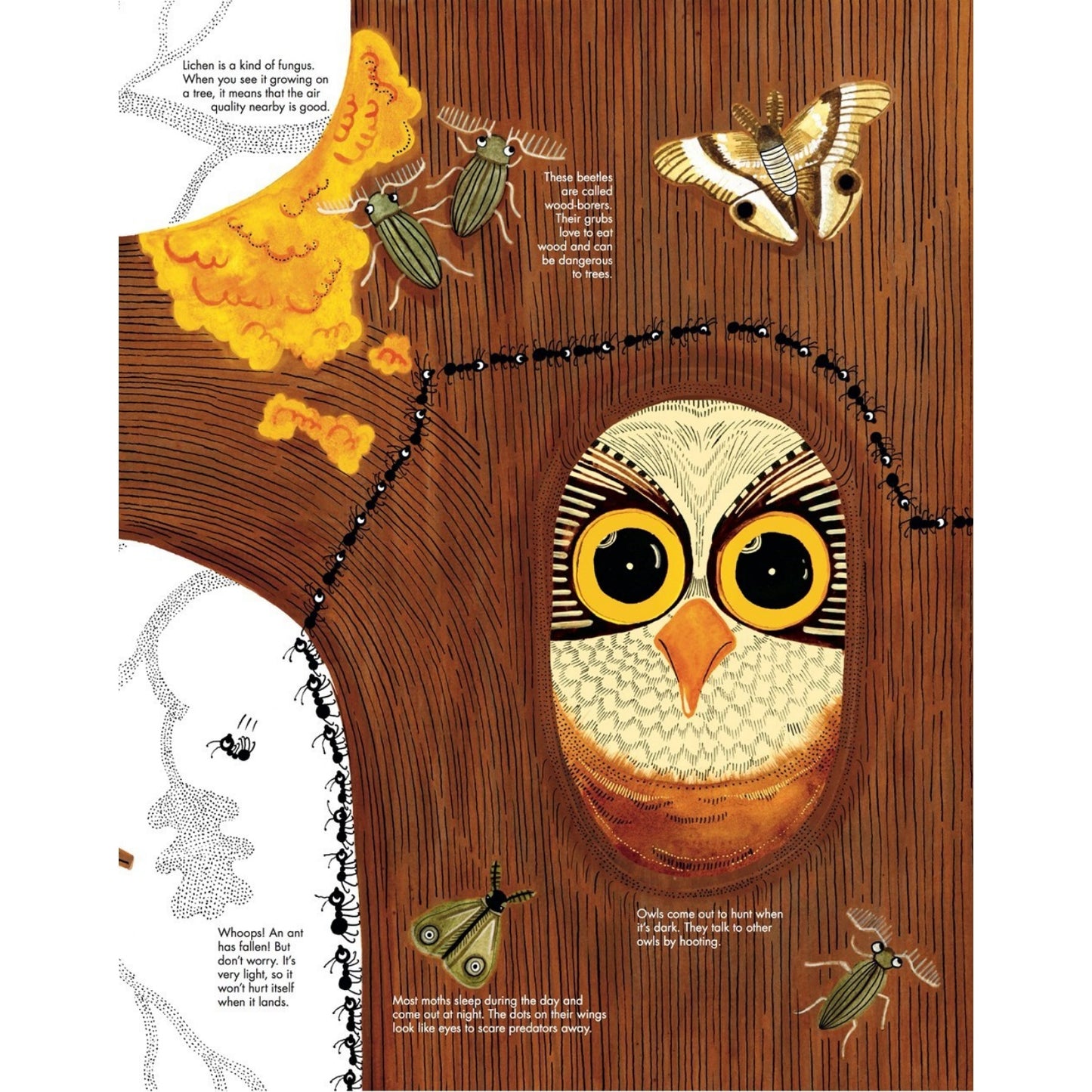 1001 Ants | Children's Picture Book on Ants