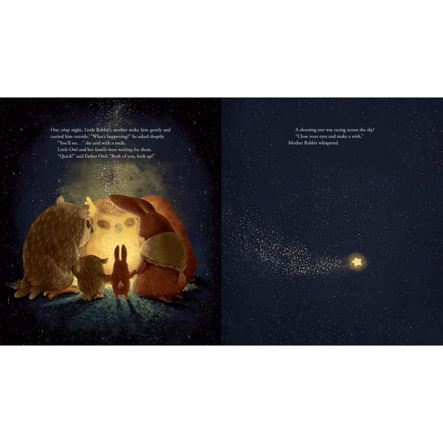 When Little Owl Met Little Rabbit | Hardcover | Tales & Myths for Children