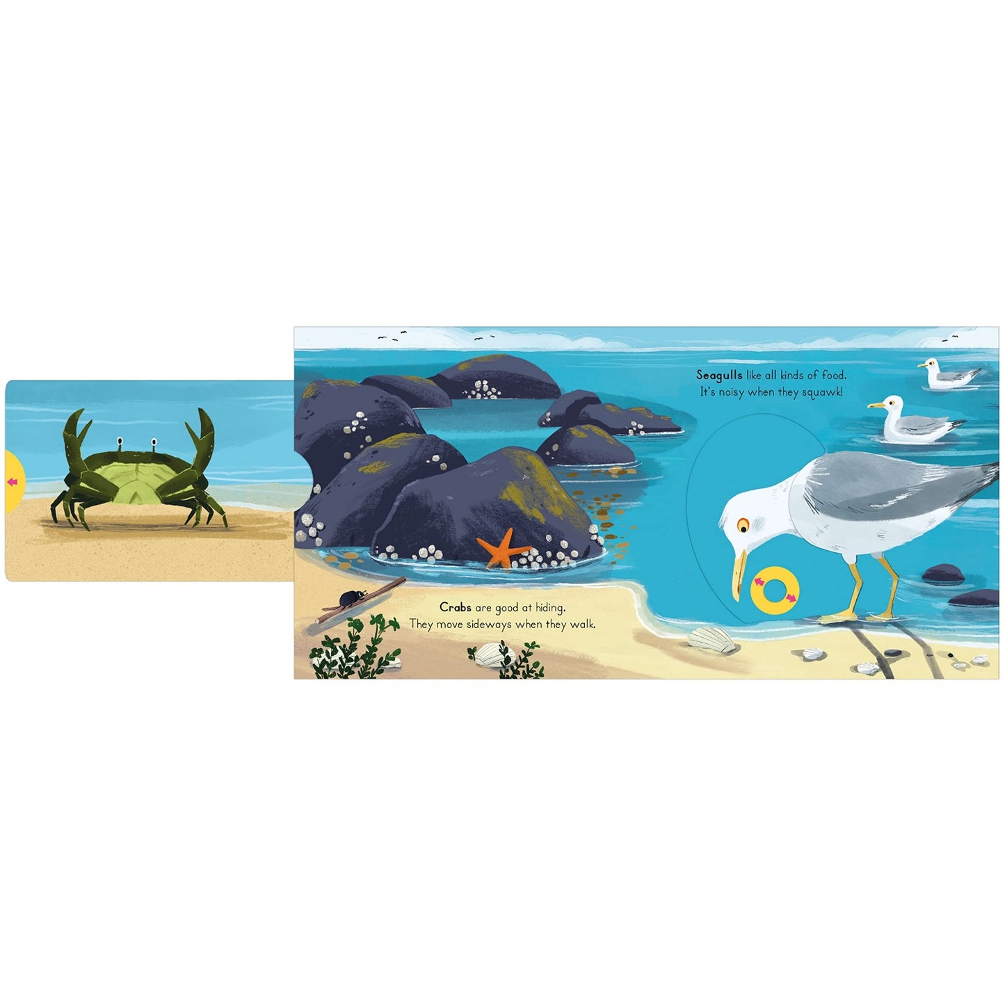 Seaside - Big Outdoors for Little Explorers | Children's Activity & Interactive Books