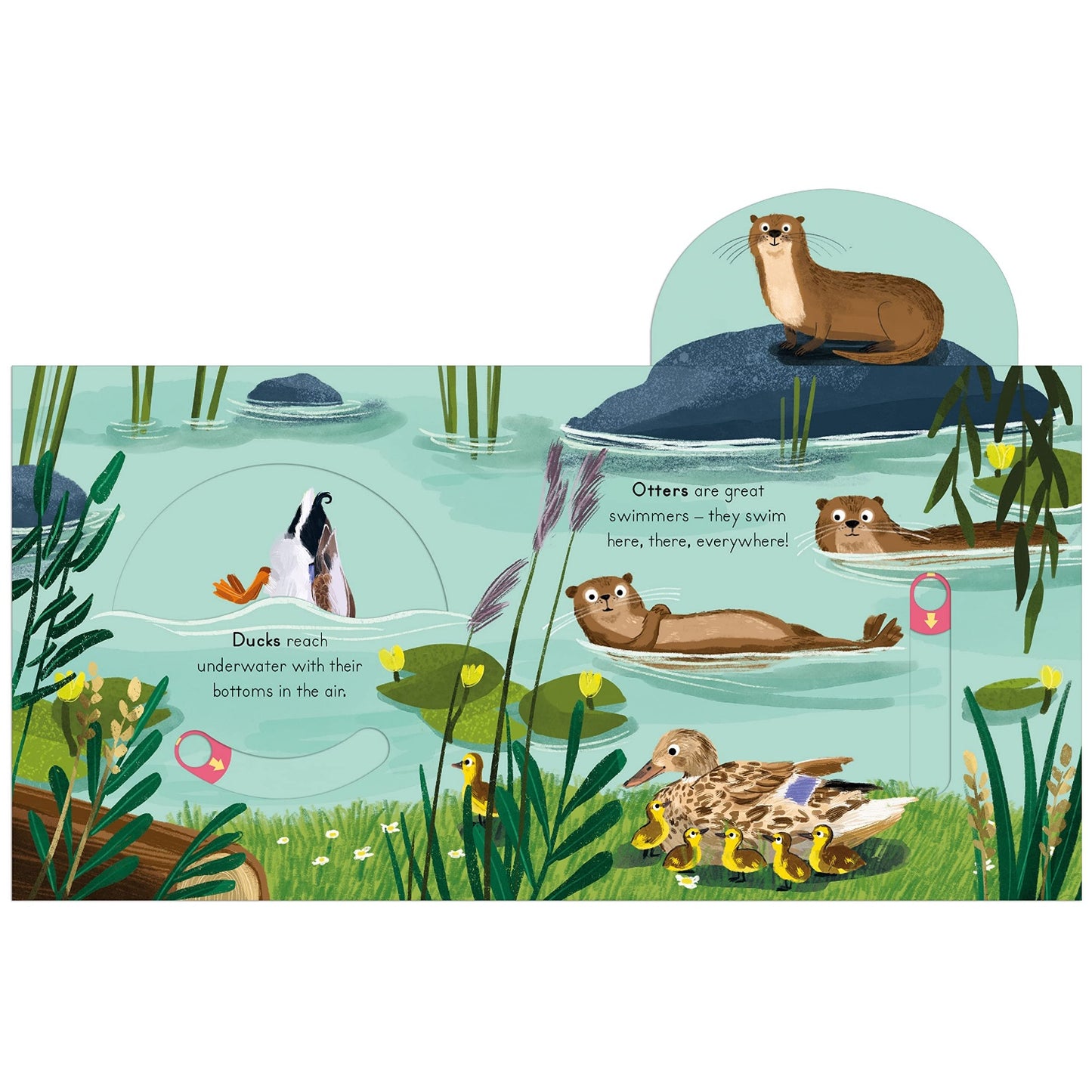 River - Big Outdoors for Little Explorers | Children's Activity & Interactive Books