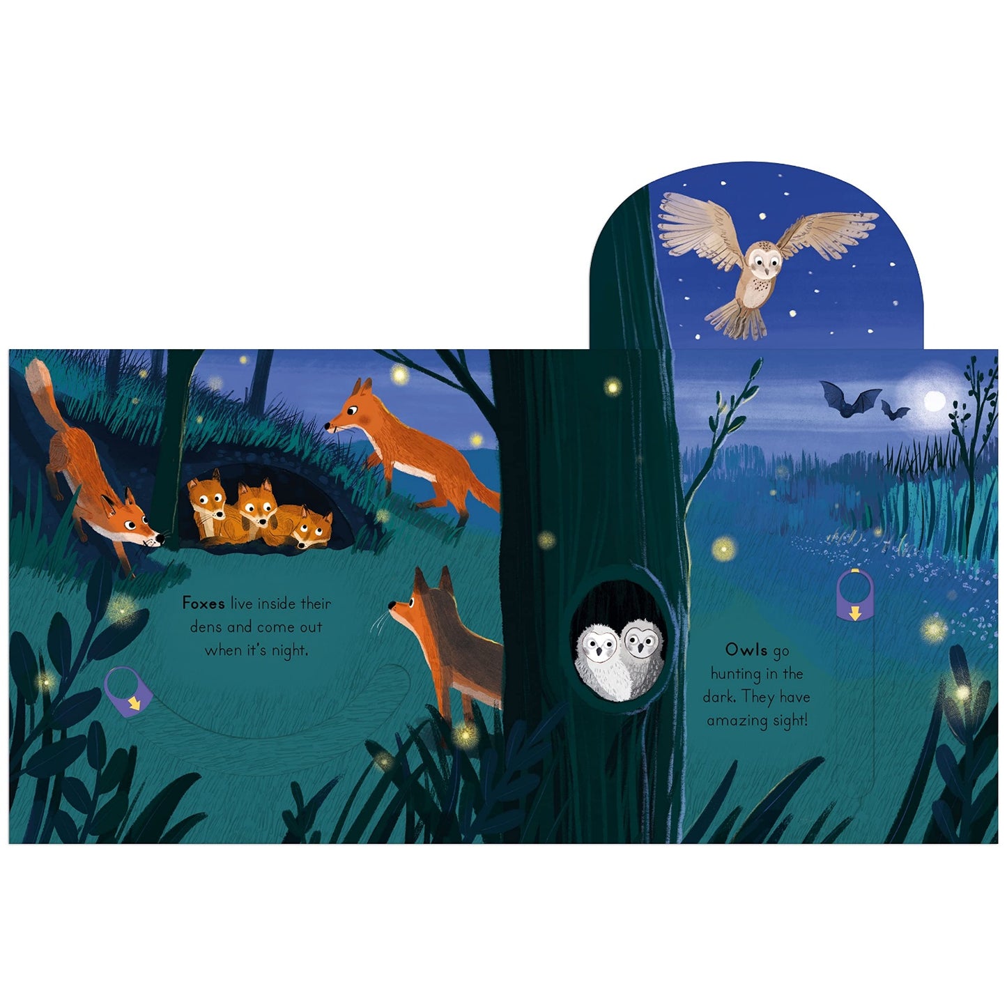 Woods - Big Outdoors for Little Explorers | Children's Activity & Interactive Books