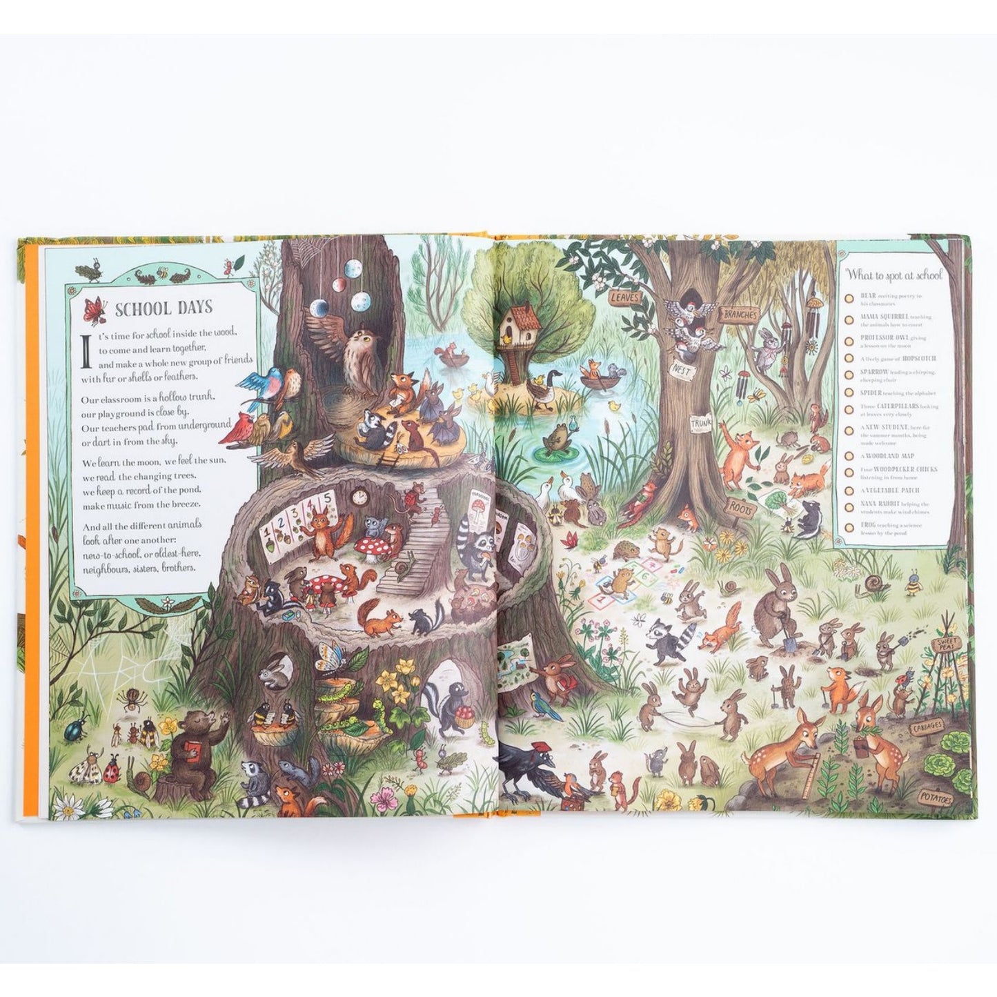 If You Go Down to the Woods Today | Hardcover | Children’s Book on Nature