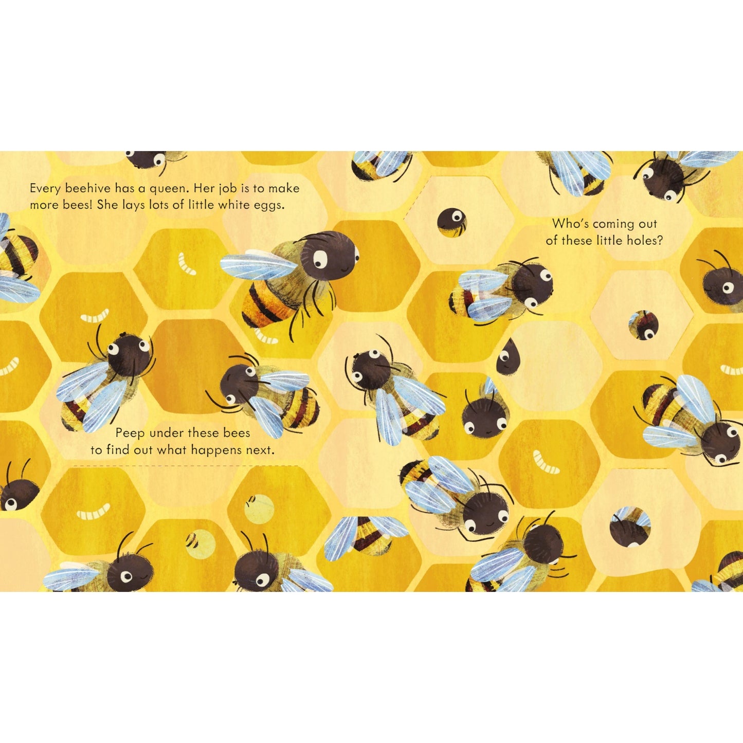 Peep Inside A Beehive | Board Book | Children's Book on Bees and Nature