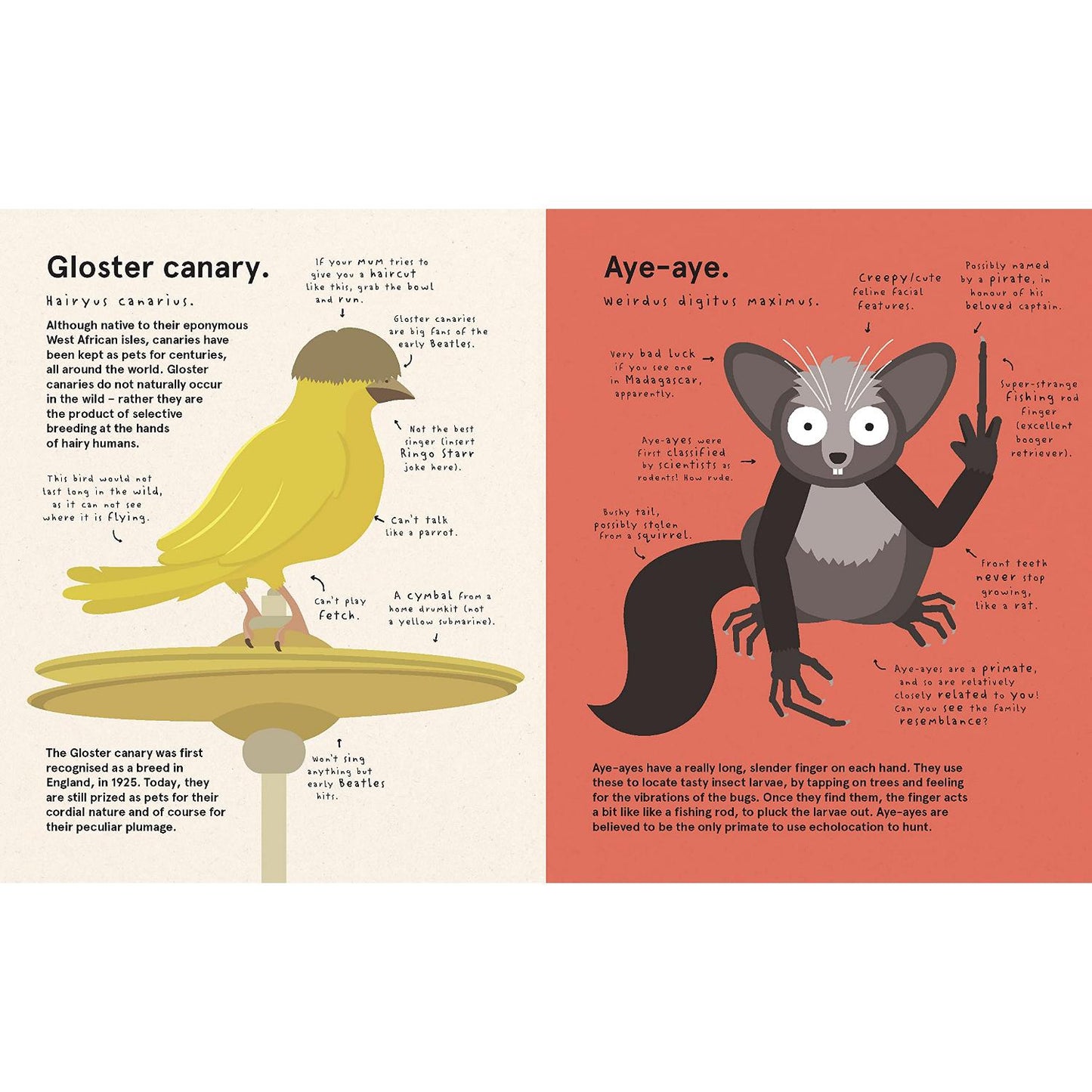 The World's Most Pointless Animals - Or are They? | Children’s Book on Nature