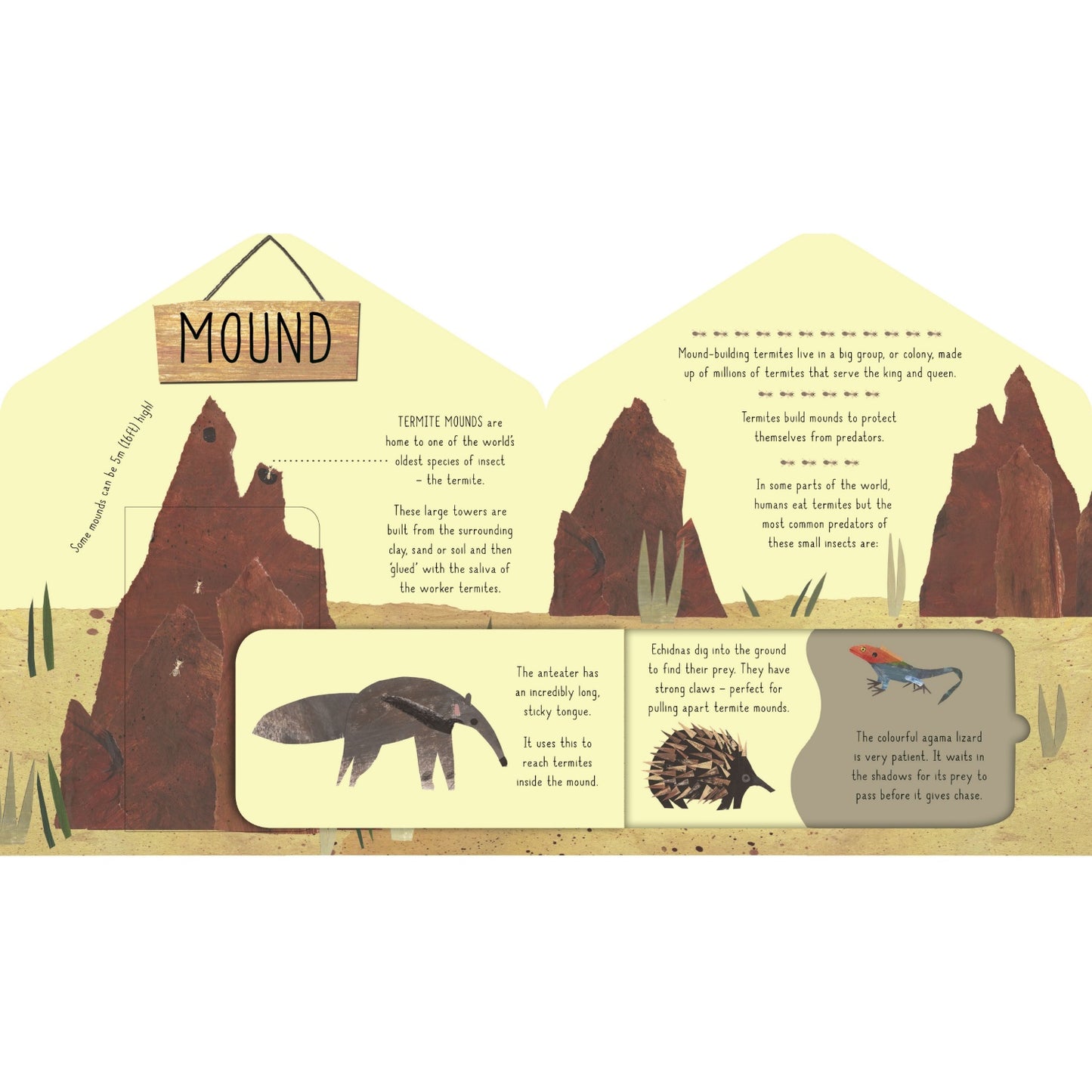 Animal Homes: A Clover Robin Book of Nature | Children's Lift-the-Flap Board Book