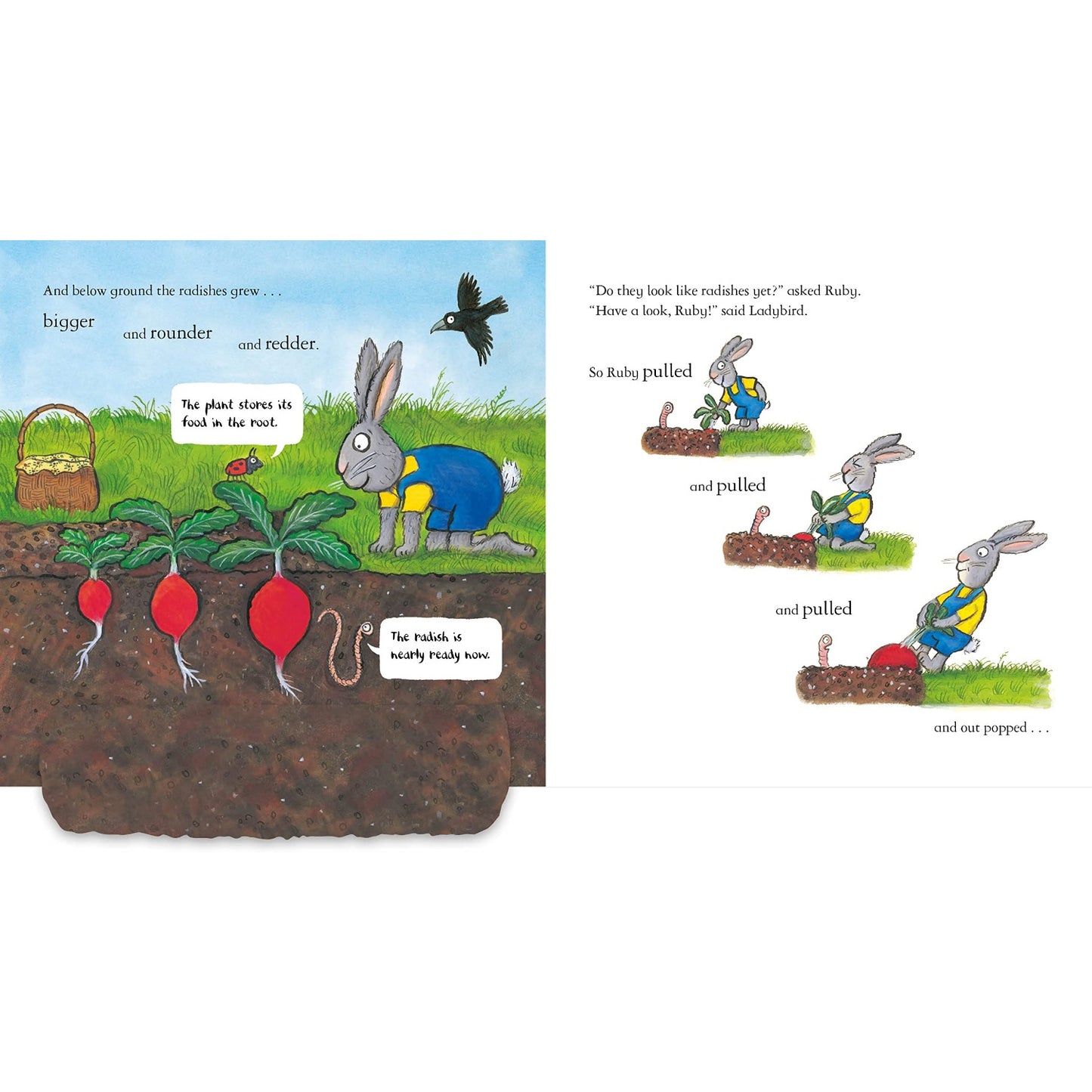 Ruby Plants a Radish | Hardcover | Children’s Book on Nature