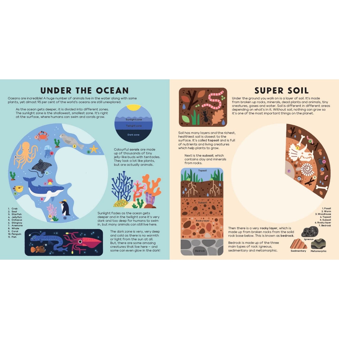 The Earth Book | Board Book with See-Through Pages | Children's Book on Nature