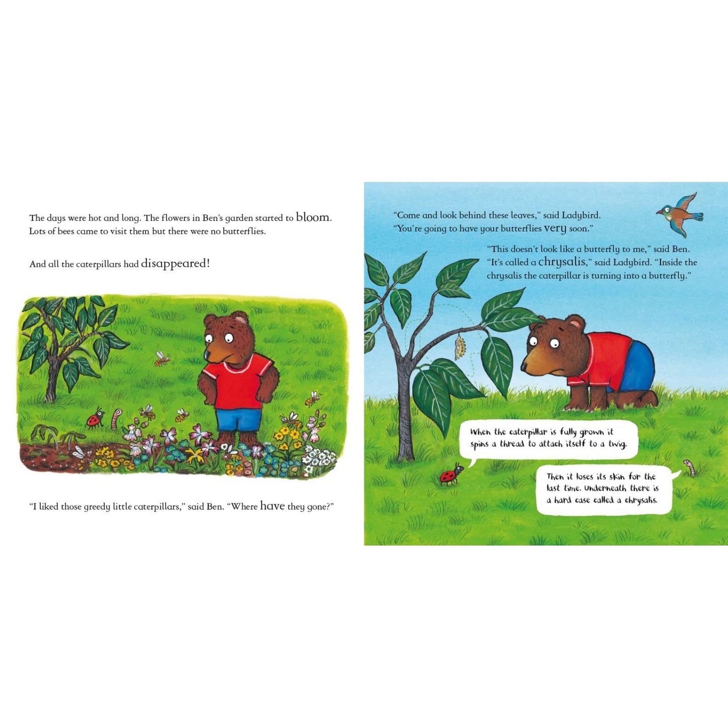 Ben Plants a Butterfly Garden | Hardcover | Children’s Book on Nature