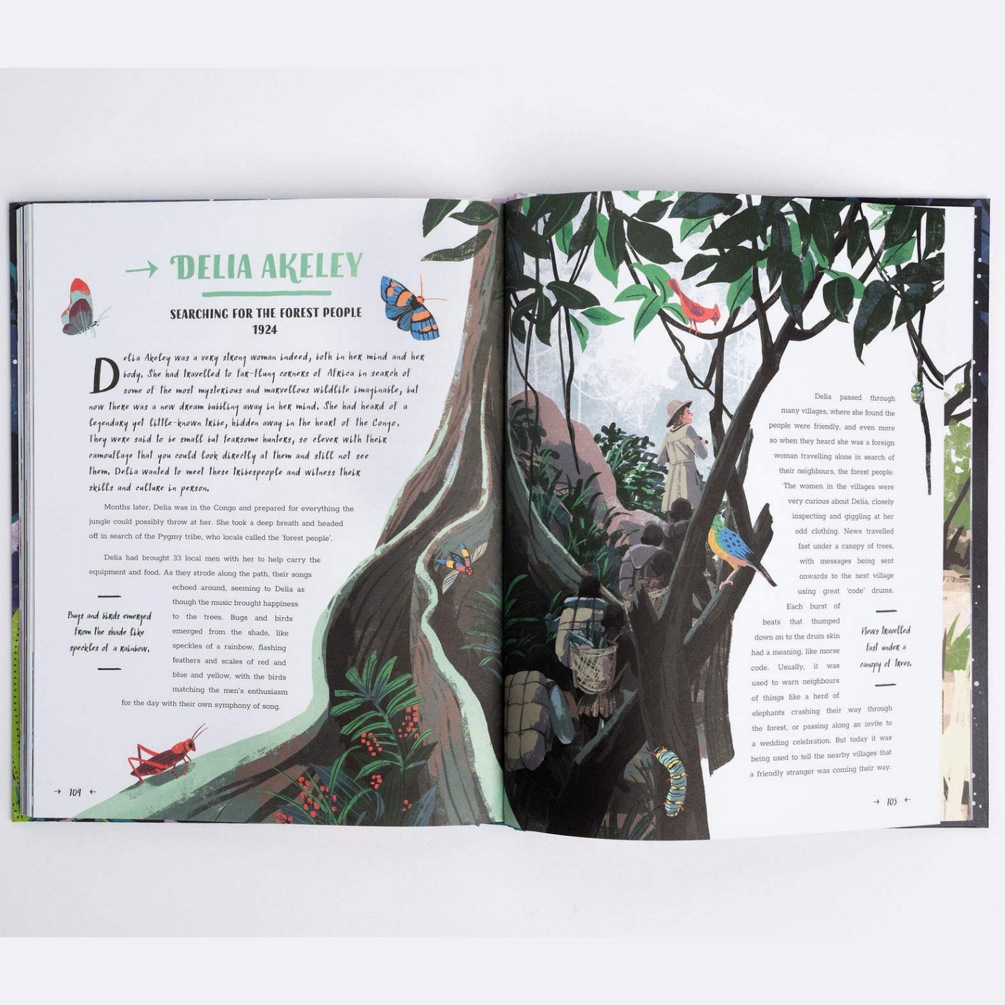 Adventure Starts at Bedtime | Children’s Book on Adventures