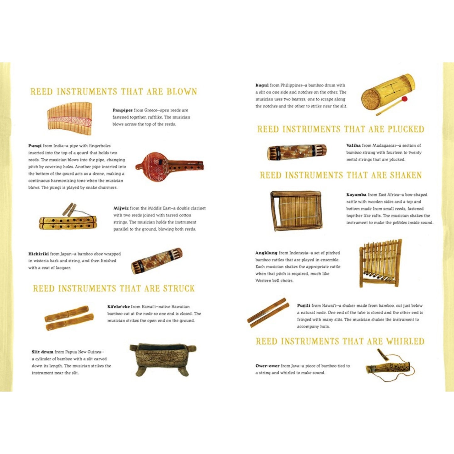 Before Music: Where Instruments Come From | Hardcover | Children’s Book on Music