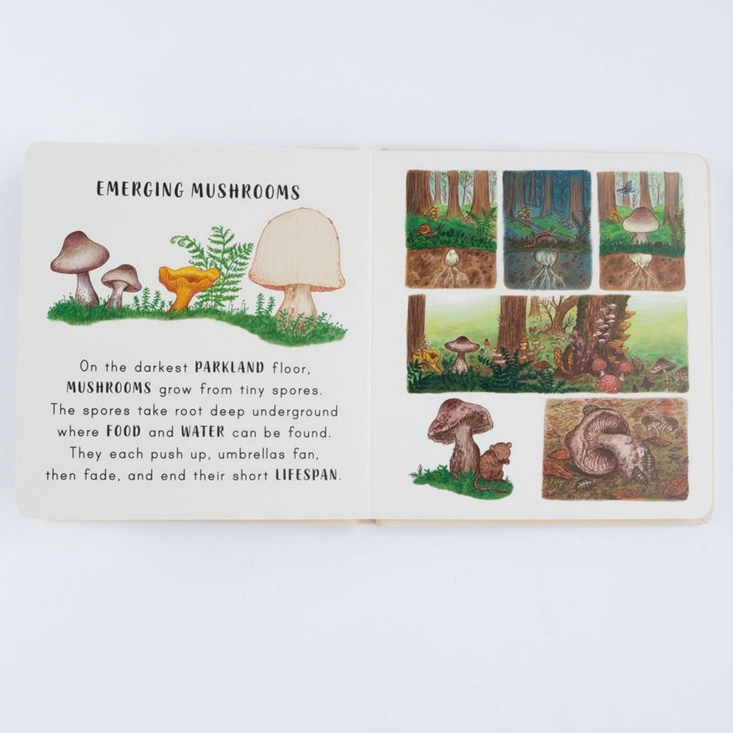 Slow Down… Discover Nature in the Park: Bring Calm to Baby's World with 6 Mindful Nature Moments | Children's Books on Nature