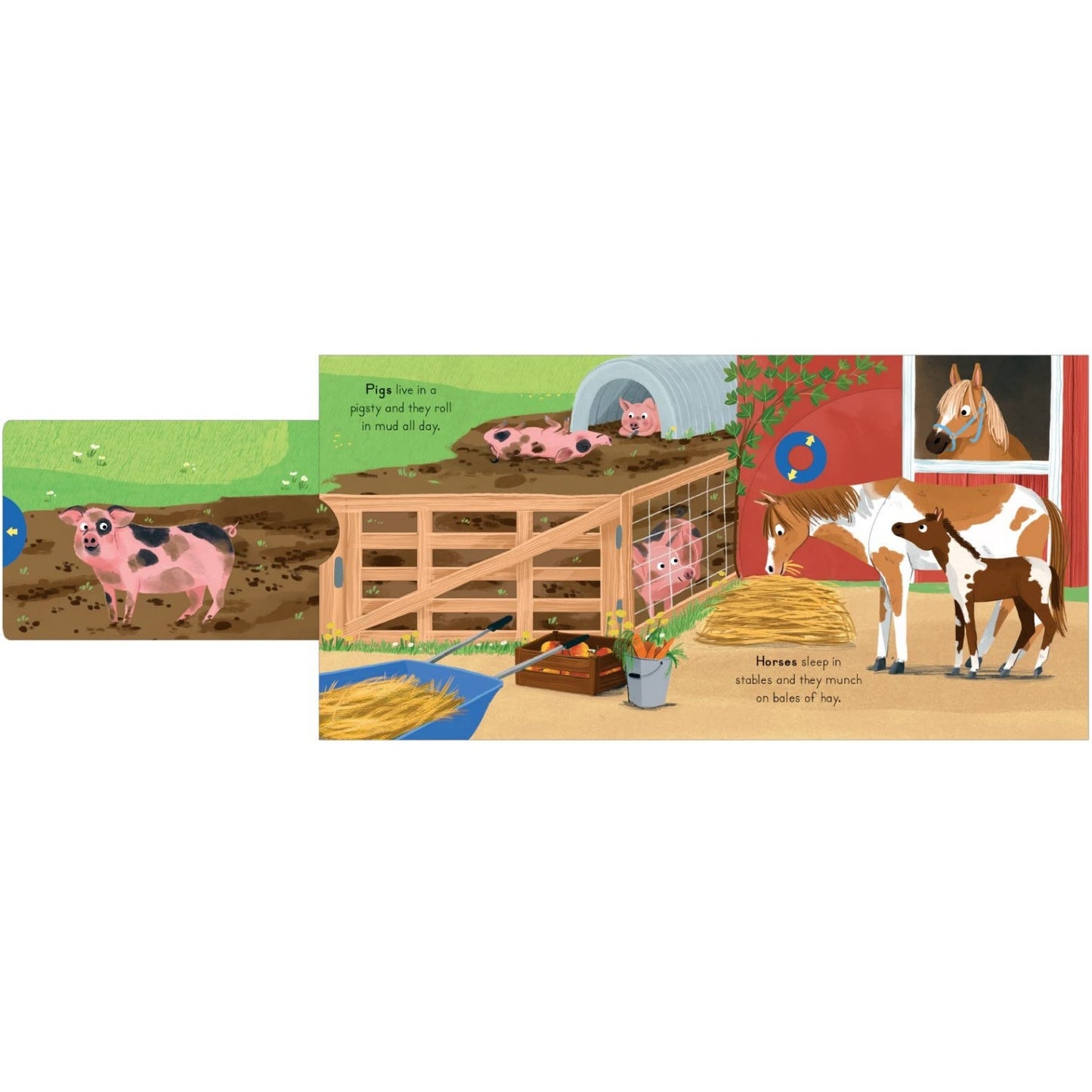 Farm - Big Outdoors for Little Explorers | Children's Activity & Interactive Books