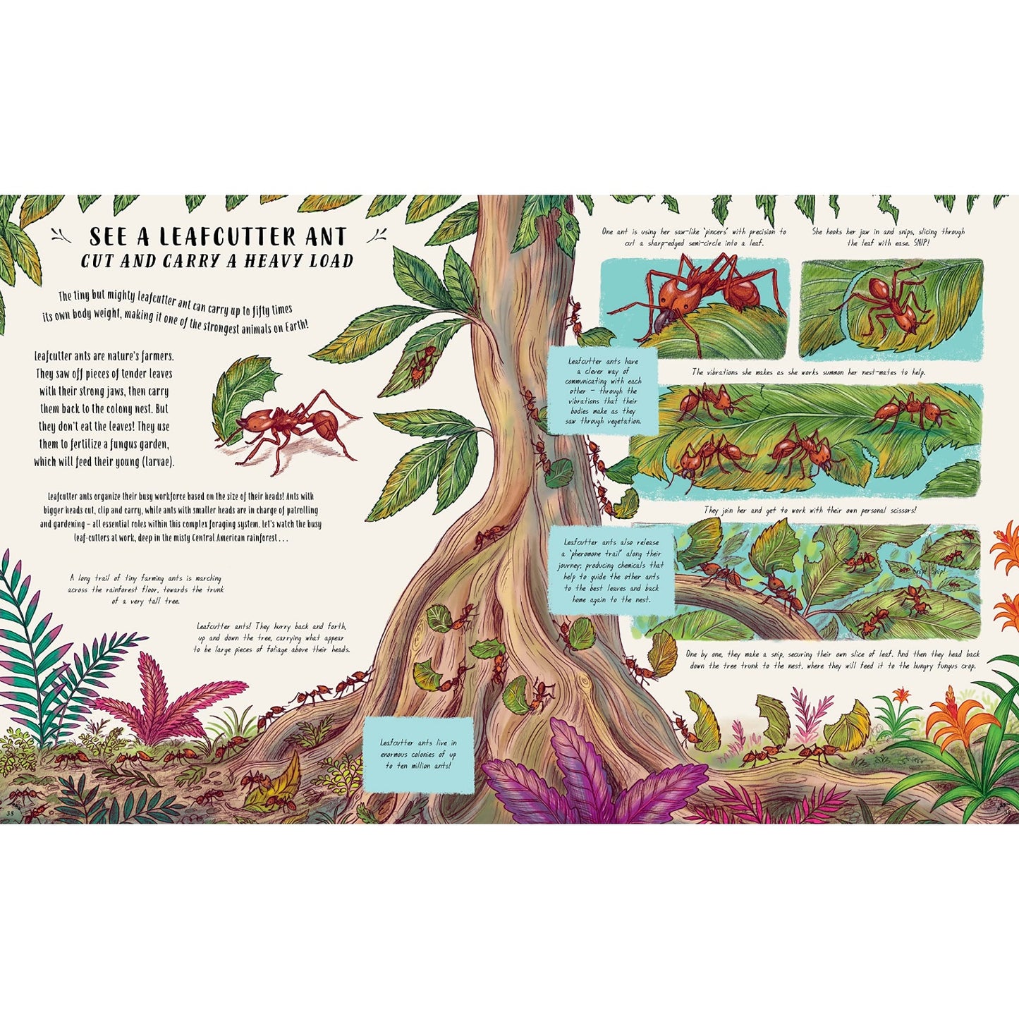 Slow Down and Be Here Now: More Nature Stories to Make You Stop, Look & Be Amazed | Children's Books on Nature