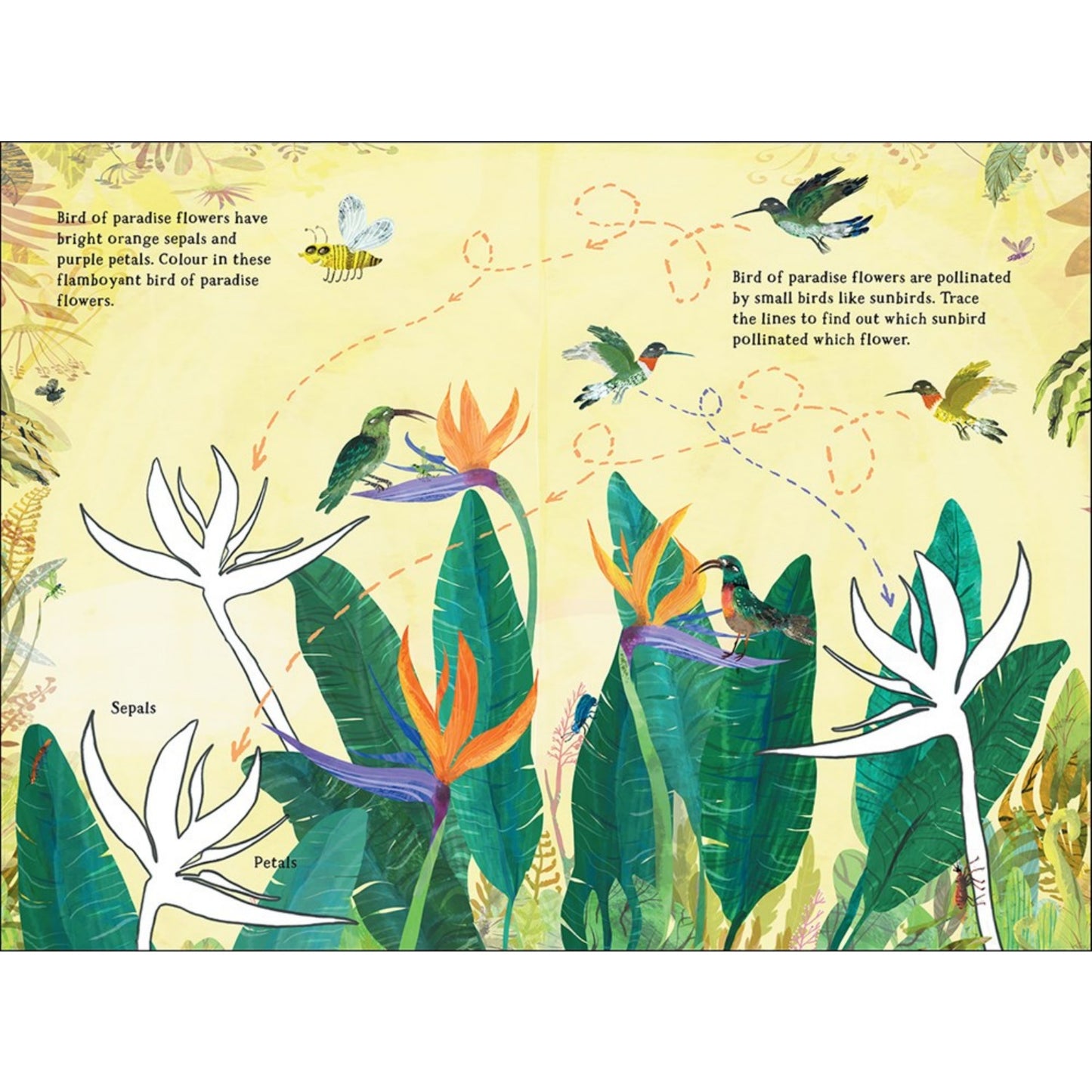 The Big Sticker Book of Blooms | Children's Activity Book on Plants & Flowers