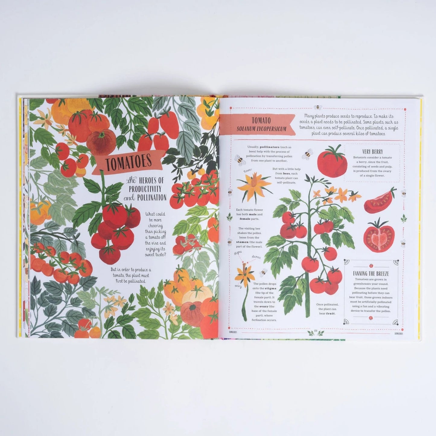 Grow: A First Guide To Plants & How To Grow Them | Hardcover | Children's Book on Gardening