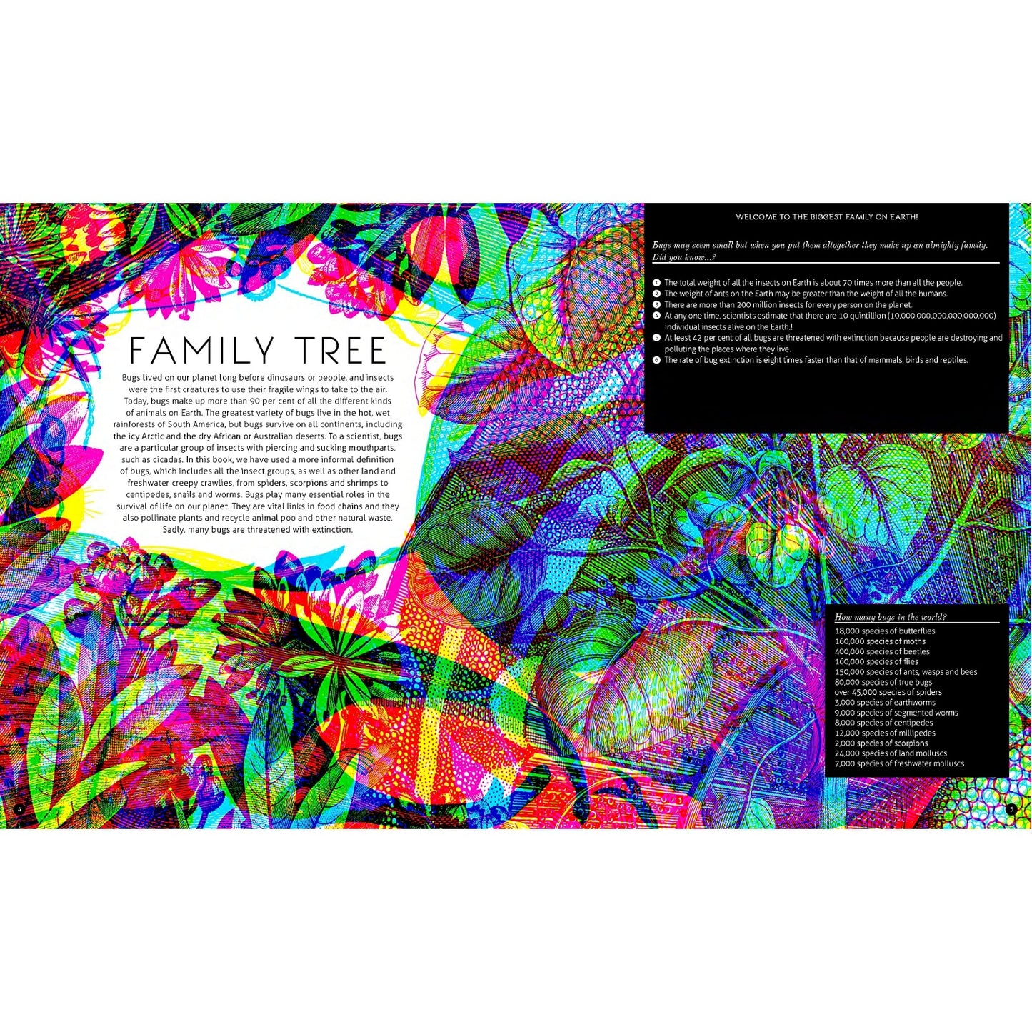 Illumibugs: Explore The World Of Minibeasts With Your Magic 3 Colour Lens | Hardcover | Children’s Book on Nature