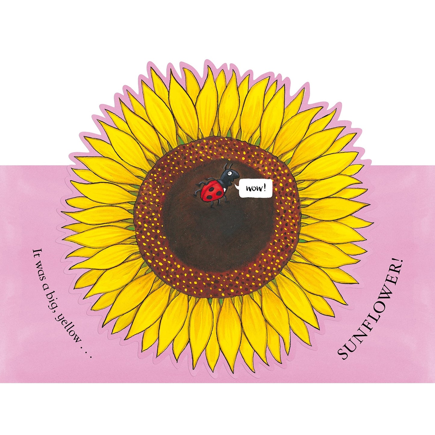 Sam Plants a Sunflower | Hardcover | Children’s Book on Nature