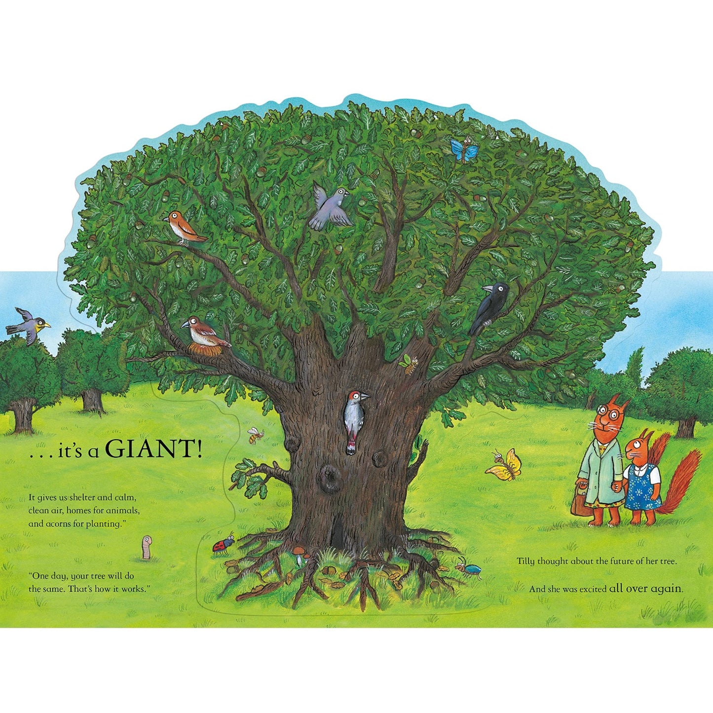 Tilly Plants a Tree | Hardcover | Children’s Book on Nature