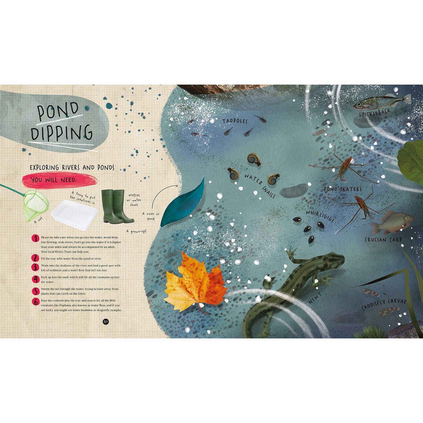 Wild Child: A Journey Through Nature | Hardcover | Children’s Book on Nature | Signed Edition Available