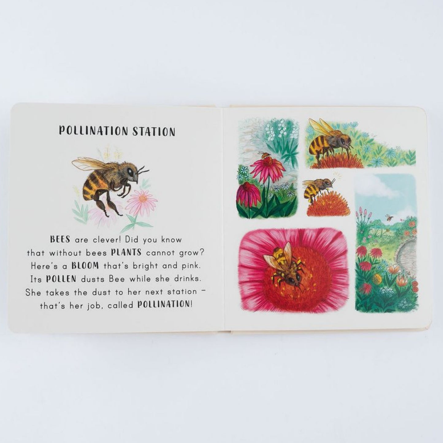 Slow Down… Discover Nature on Your Doorstep: Bring Calm to Baby's World with 6 Mindful Nature Moments | Children's Books on Nature