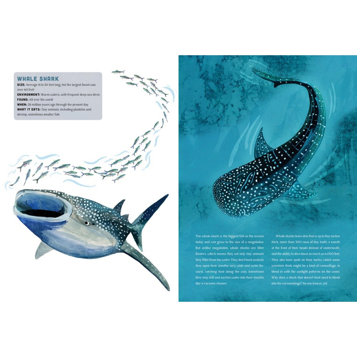 Sharks: A Mighty Bite-y History | Hardcover | Children’s Book on Nature