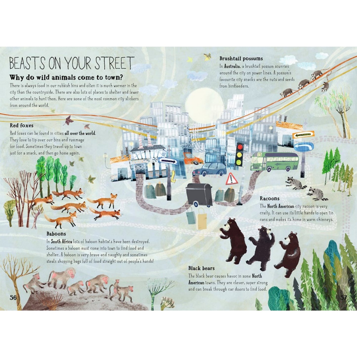 The Big Book of Beasts | Children's Picture Book on Nature