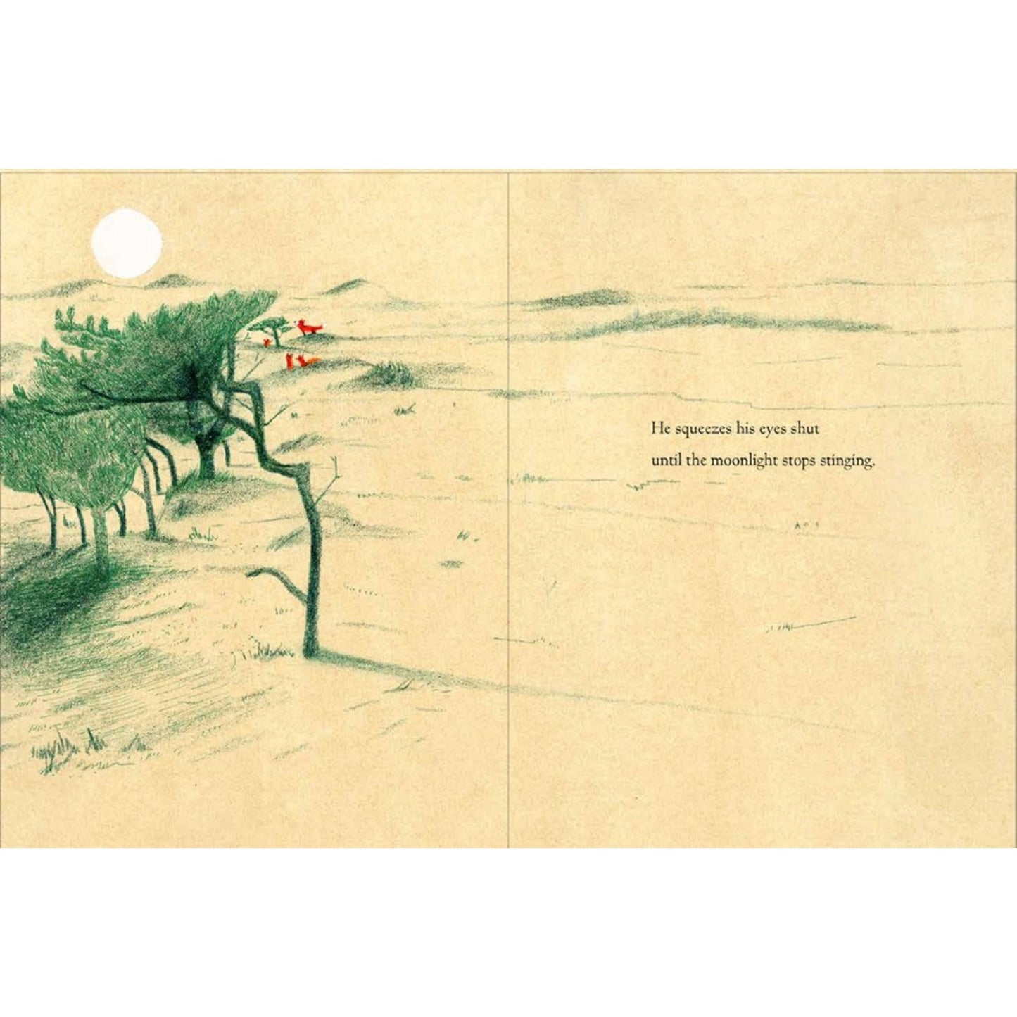 Little Fox | Children's Book on Friendship | Levine Querido | Sample Pages | BeoVERDE.ie