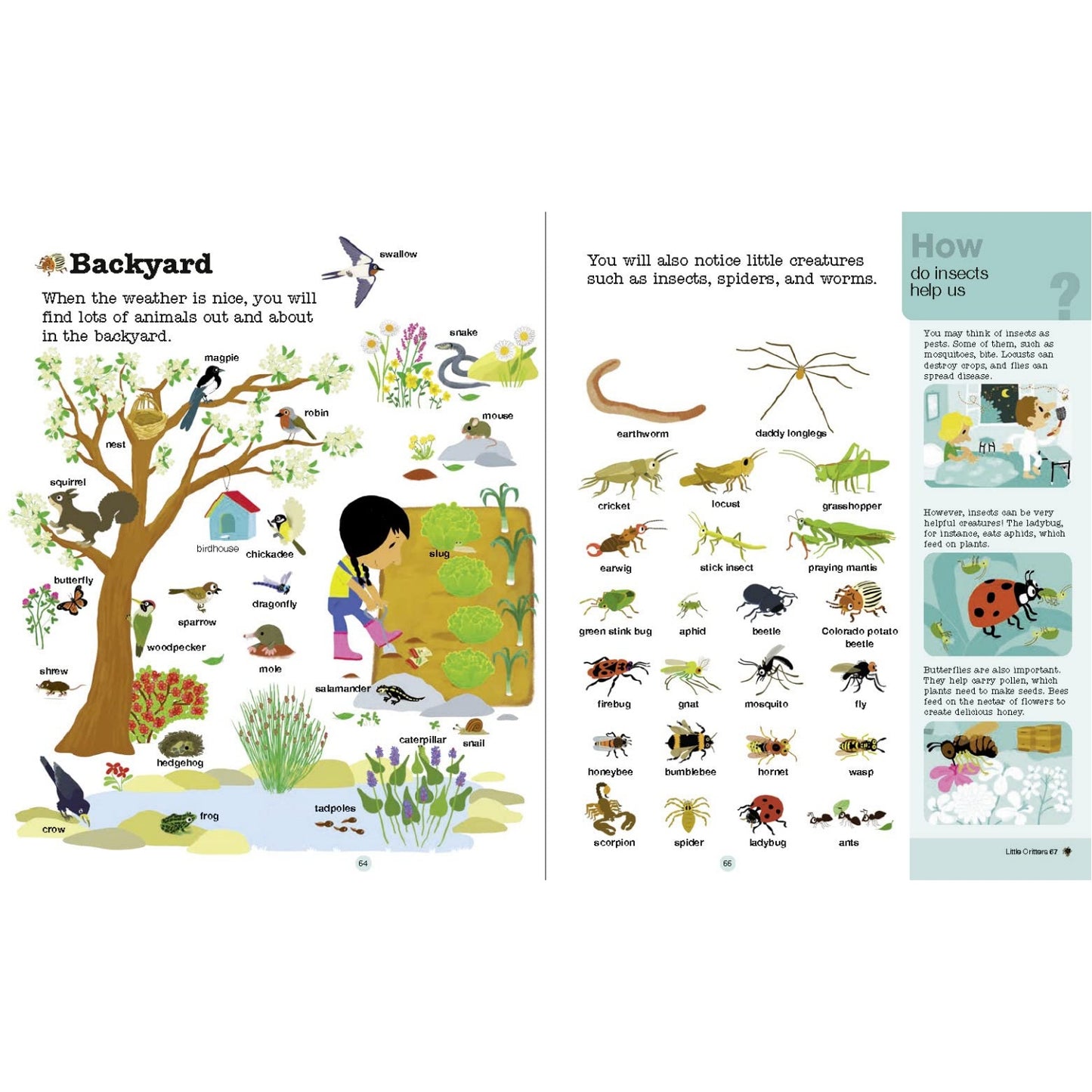 Do You Know? Animals of Land, Sea, and Air | Hardcover | Children’s Book on Nature