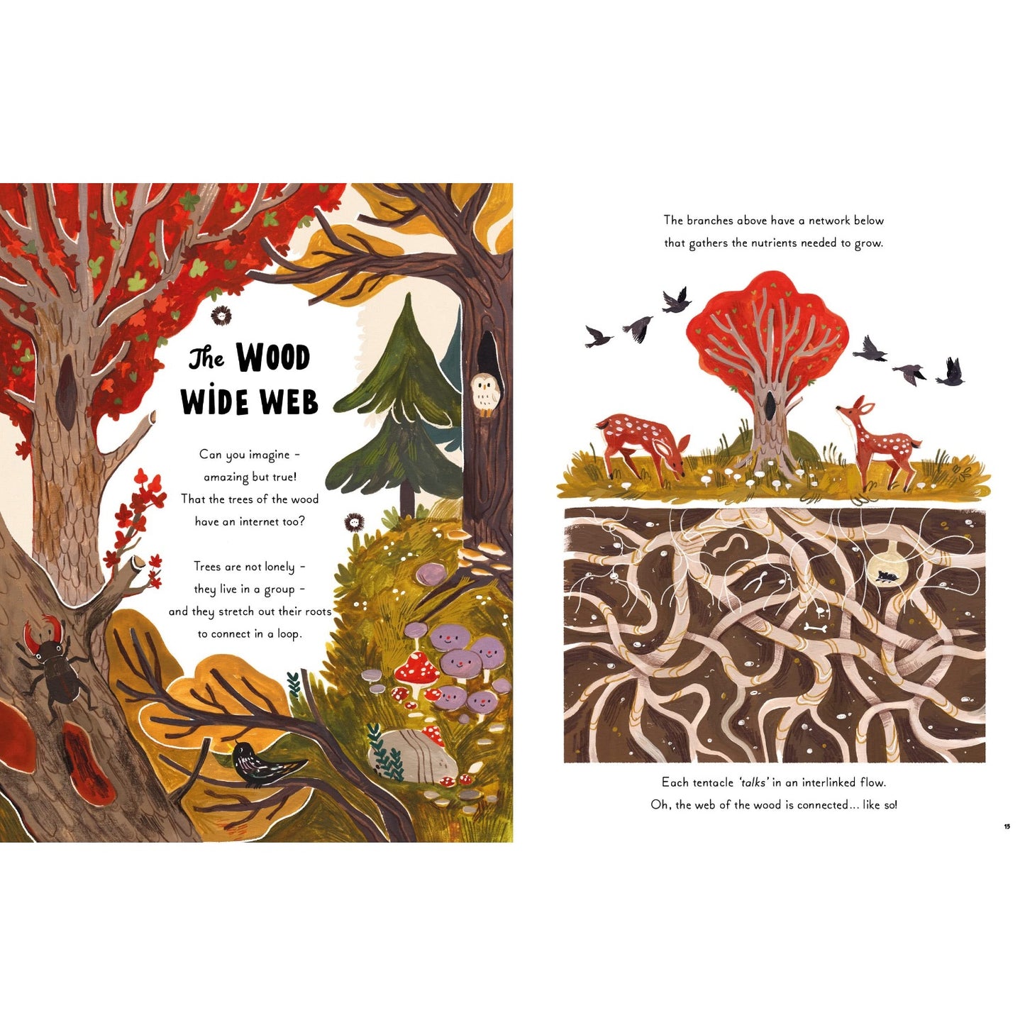 5 Minute Nature Stories: True Tales from the Woodland | Children's Books on Nature