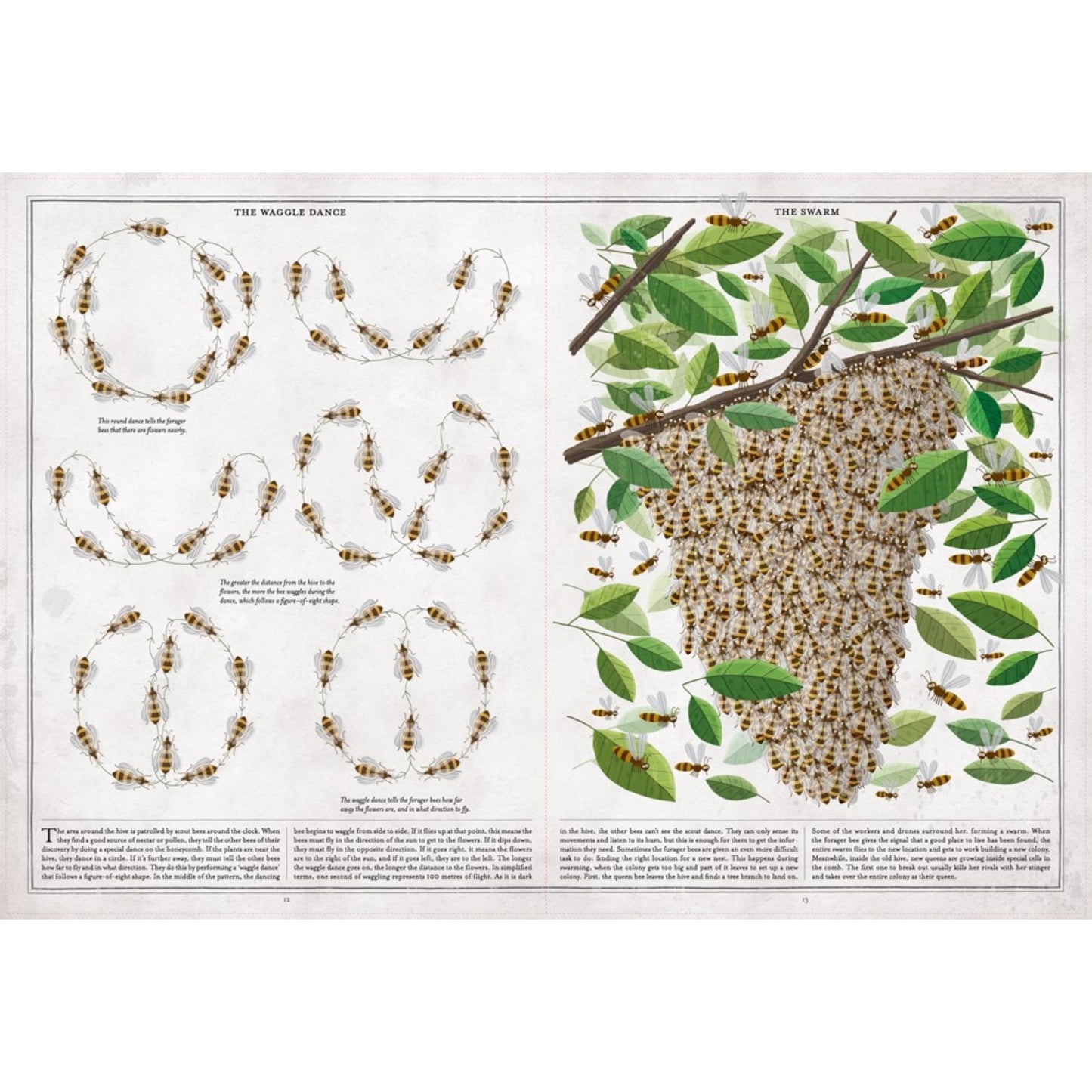 The Book of Bees | Hardcover | Children's Picture Book on Bees