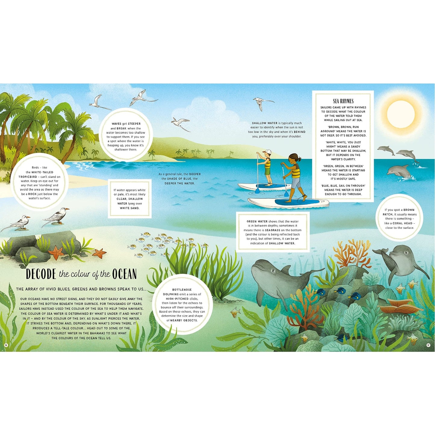 The Secret Signs of Nature | Hardcover | Children's Book on Nature