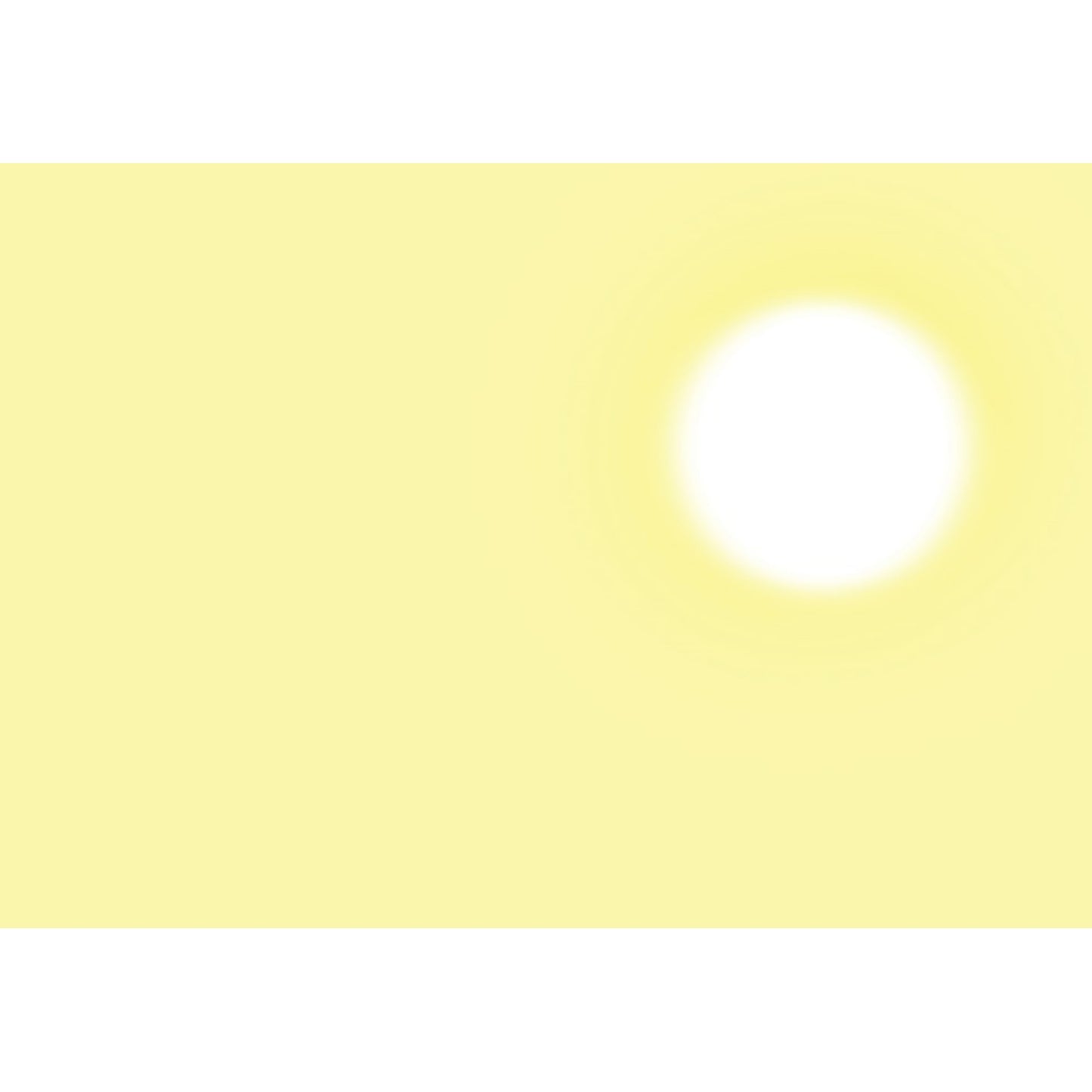 The Night Walk | Hardcover | Children’s Book on Nature