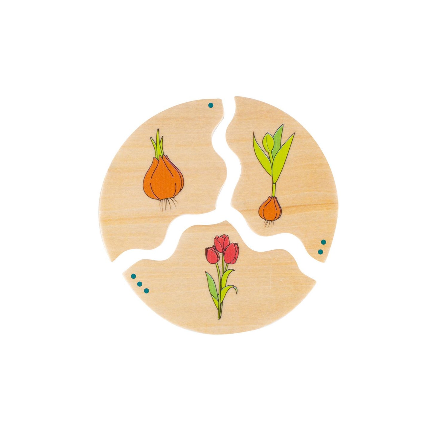 Evolution - Wooden Puzzle Set | Wooden Educational Toy