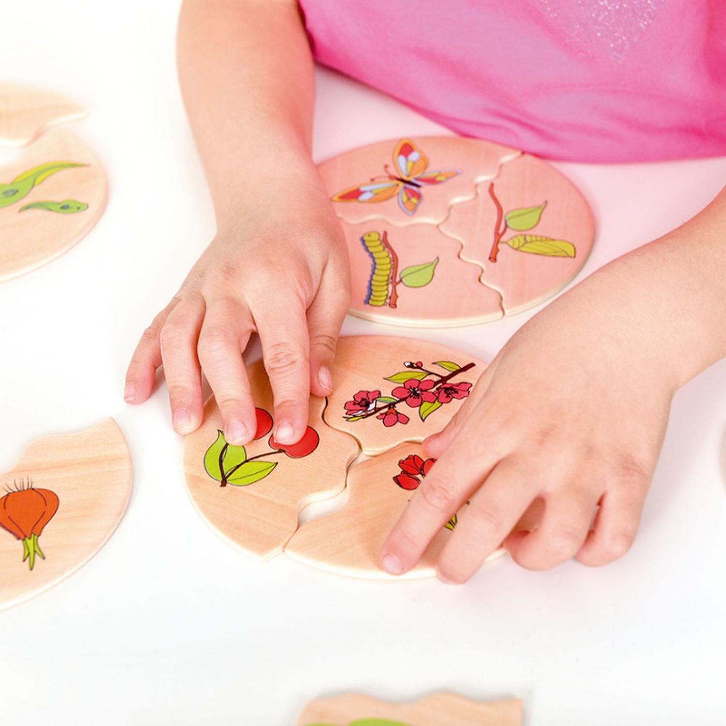 Evolution - Wooden Puzzle Set | Wooden Educational Toy