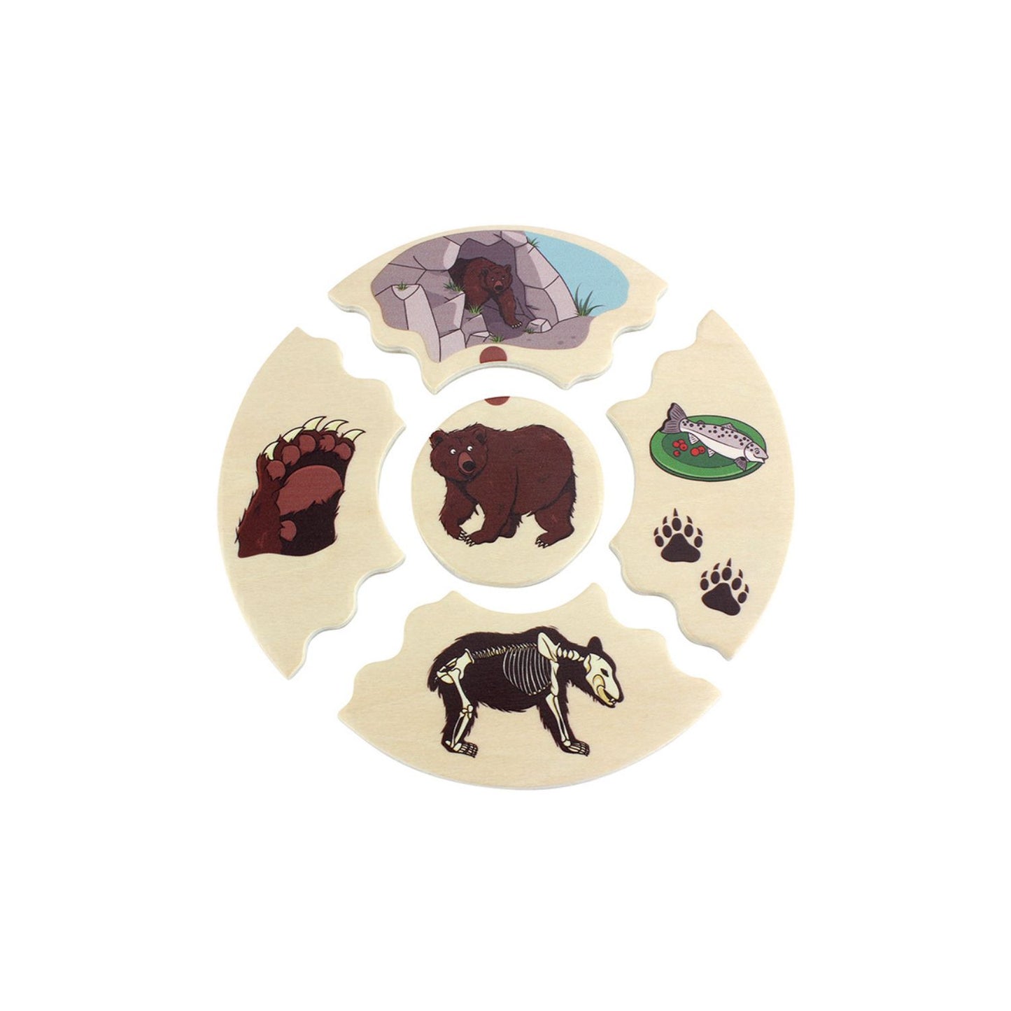 Animal Species - Wooden Puzzle Set | Wooden Educational Toy