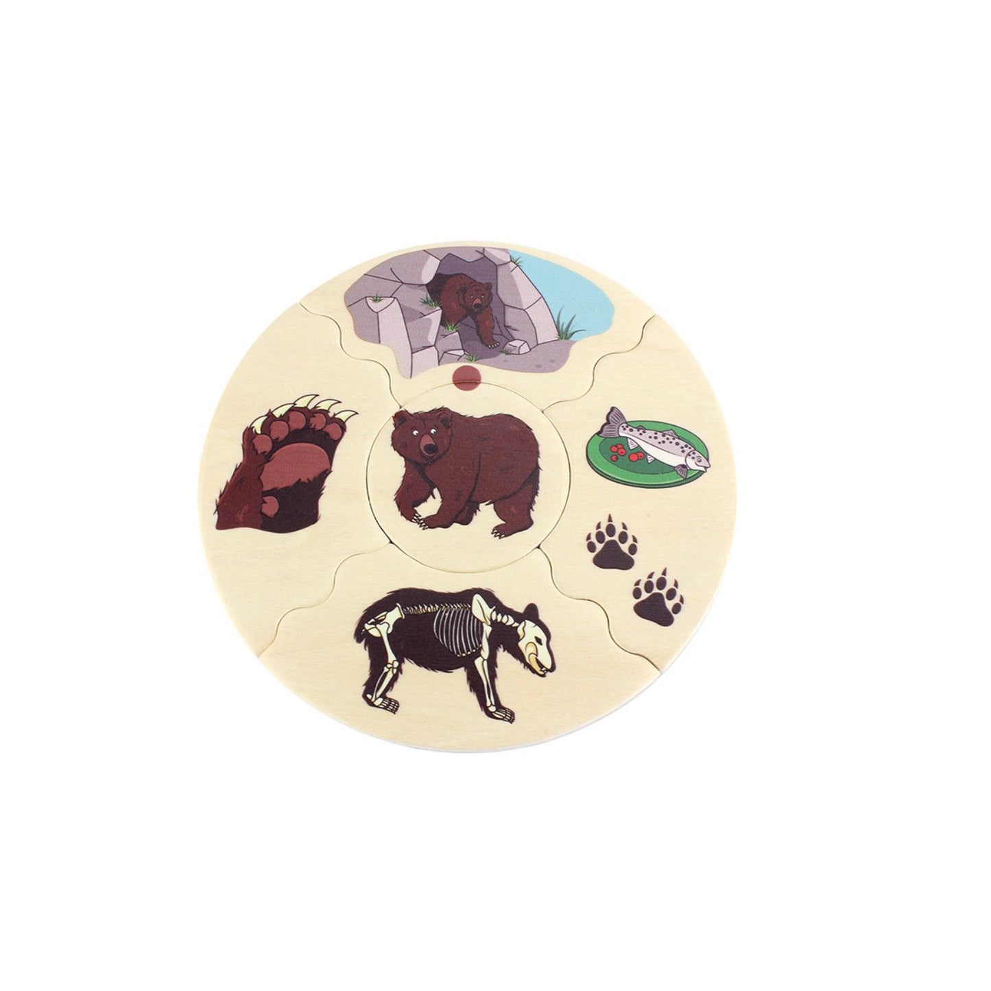 Animal Species - Wooden Puzzle Set | Wooden Educational Toy