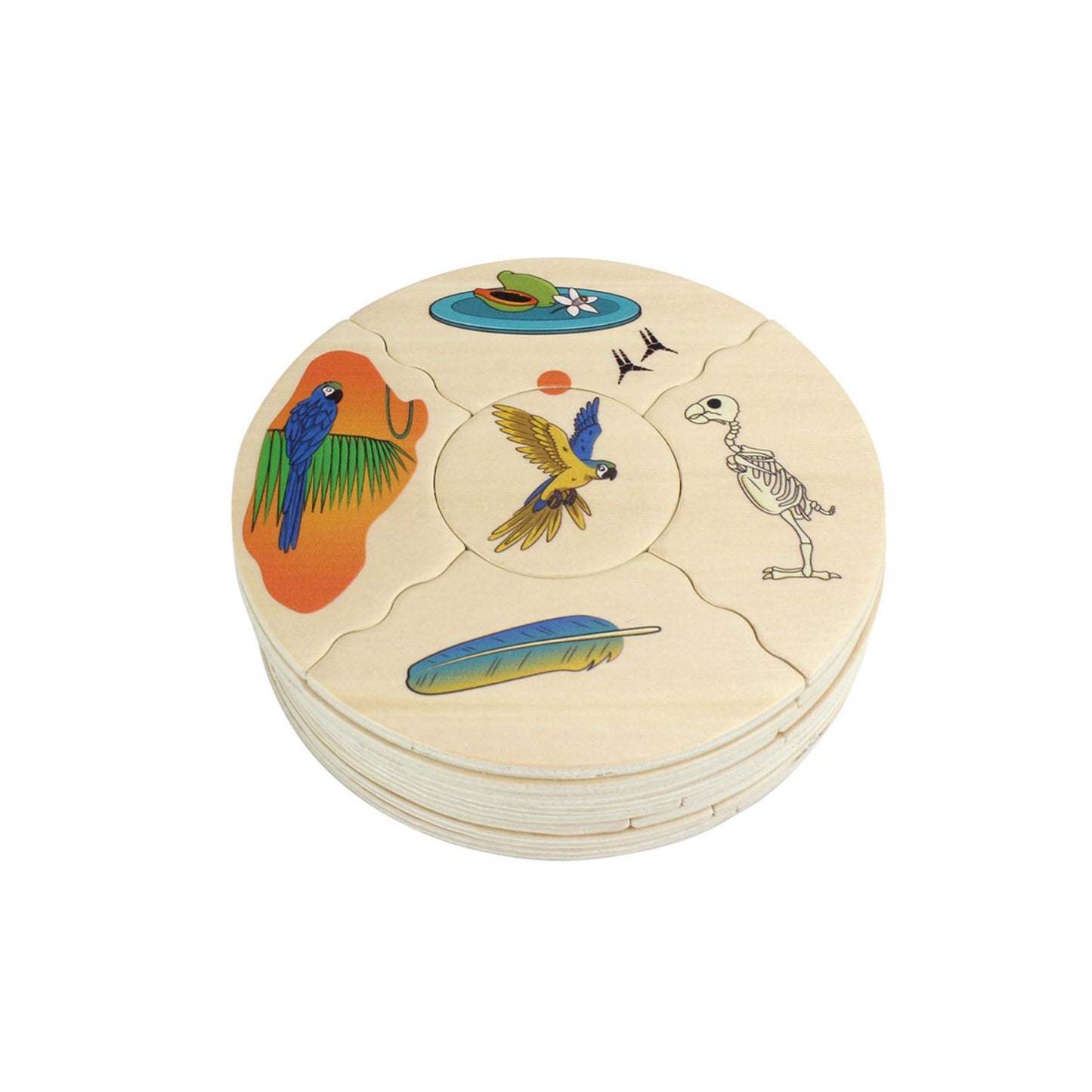 Animal Species - Wooden Puzzle Set | Wooden Educational Toy