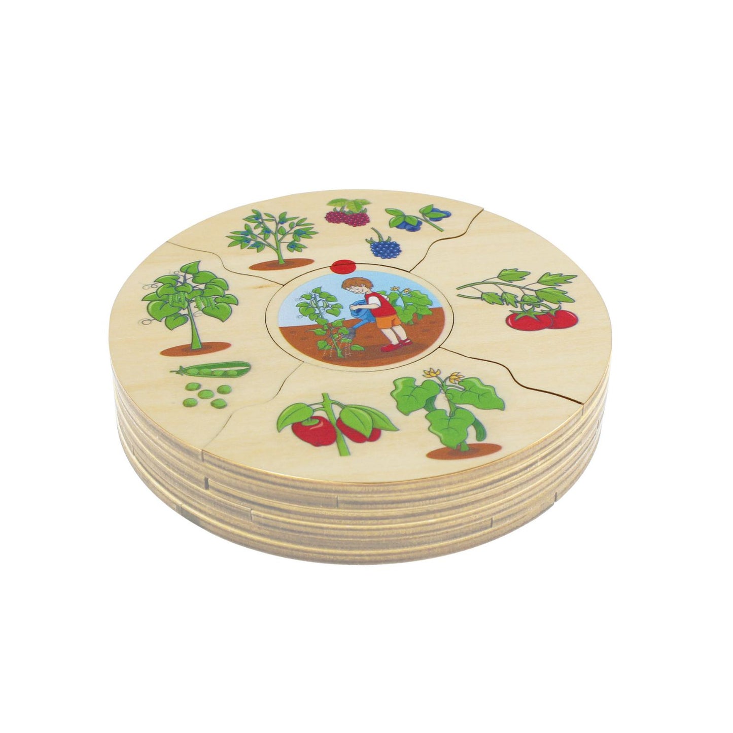 What Grows Where - Wooden Puzzle Set | Wooden Educational Toy