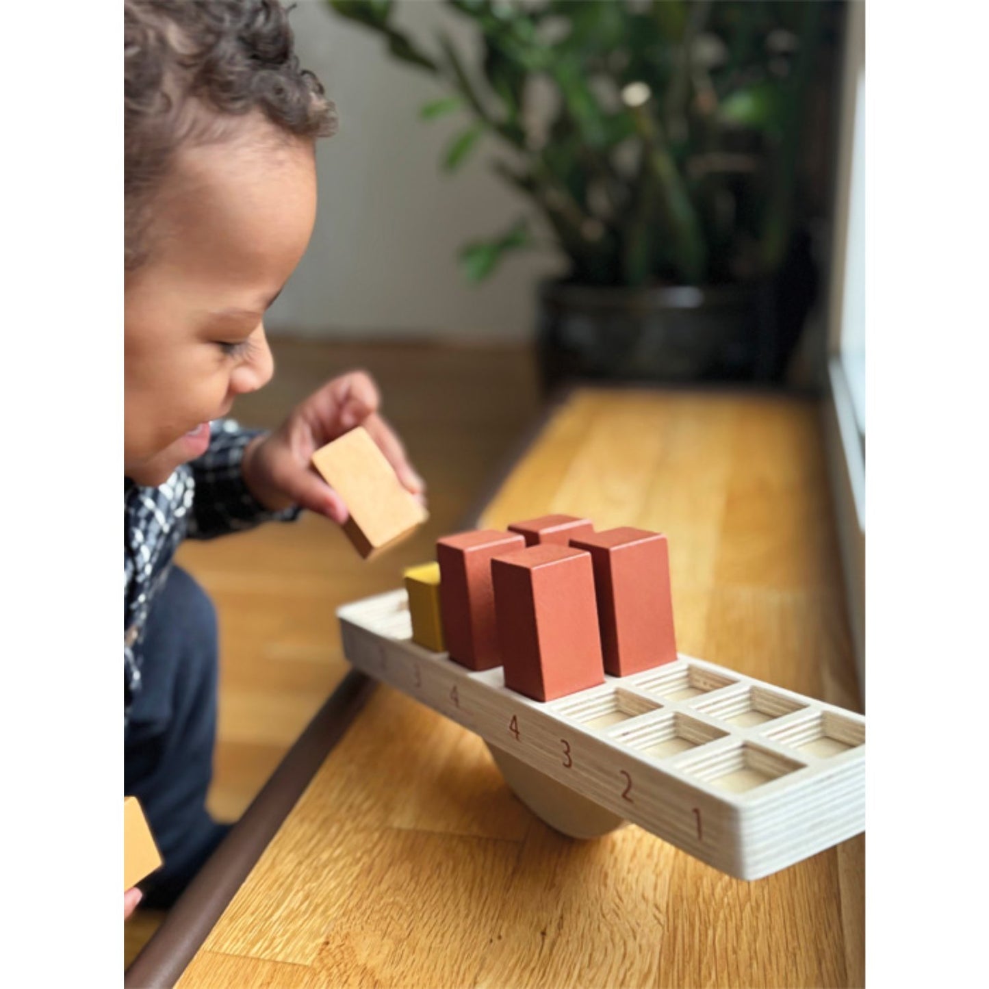 Montessori Balancing Game | Activity Toy