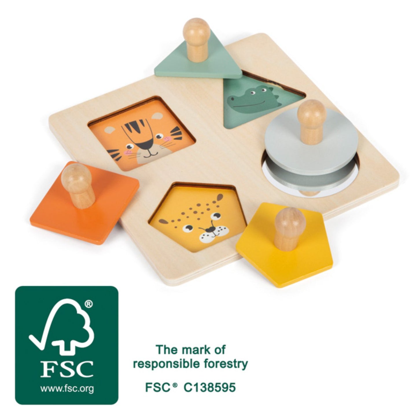 Montessori Puzzle Shapes and Images | Wooden Puzzle