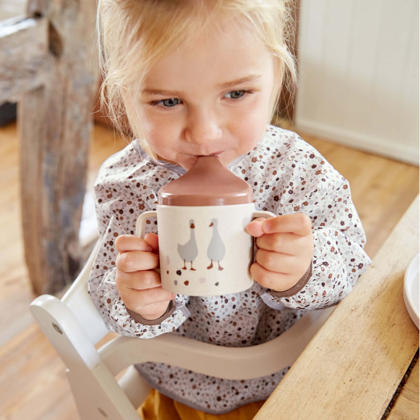 Tiny Farmer Goose | Long Sleeve Bib | Double Pack